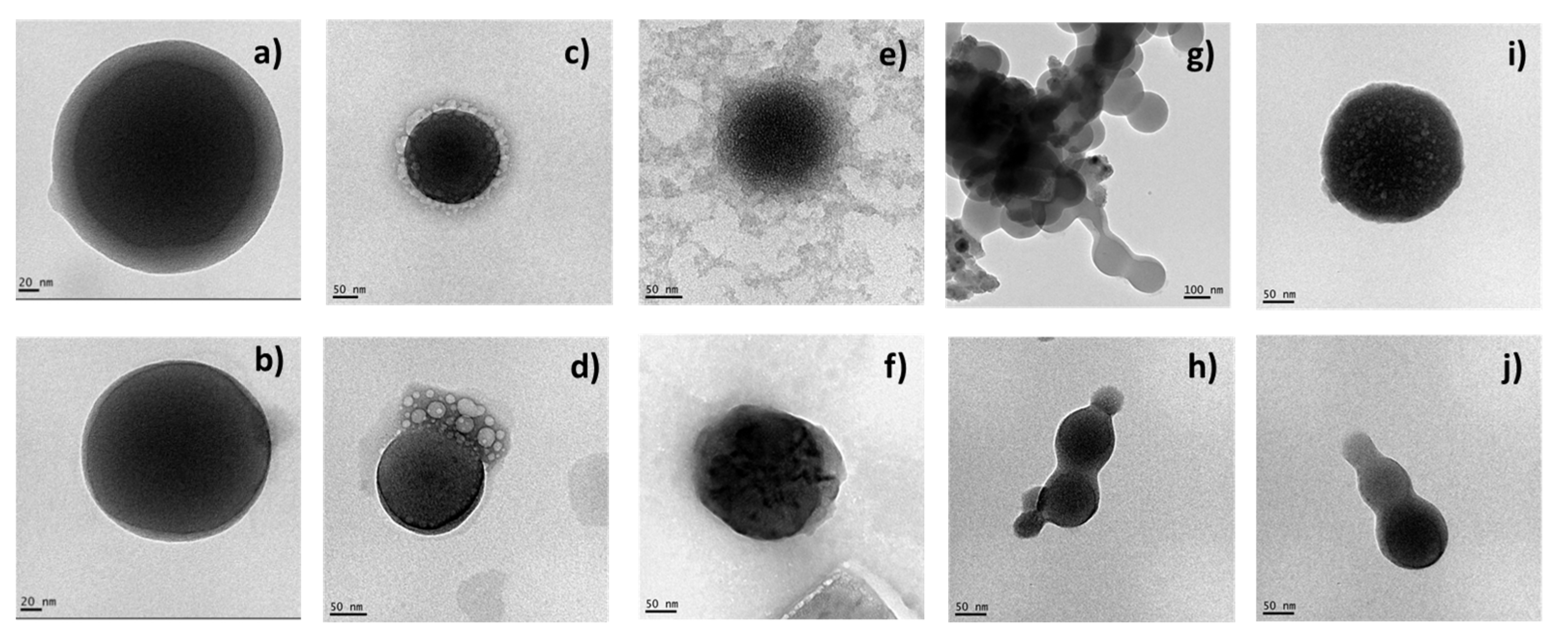 Nanomaterials 13 00200 g005