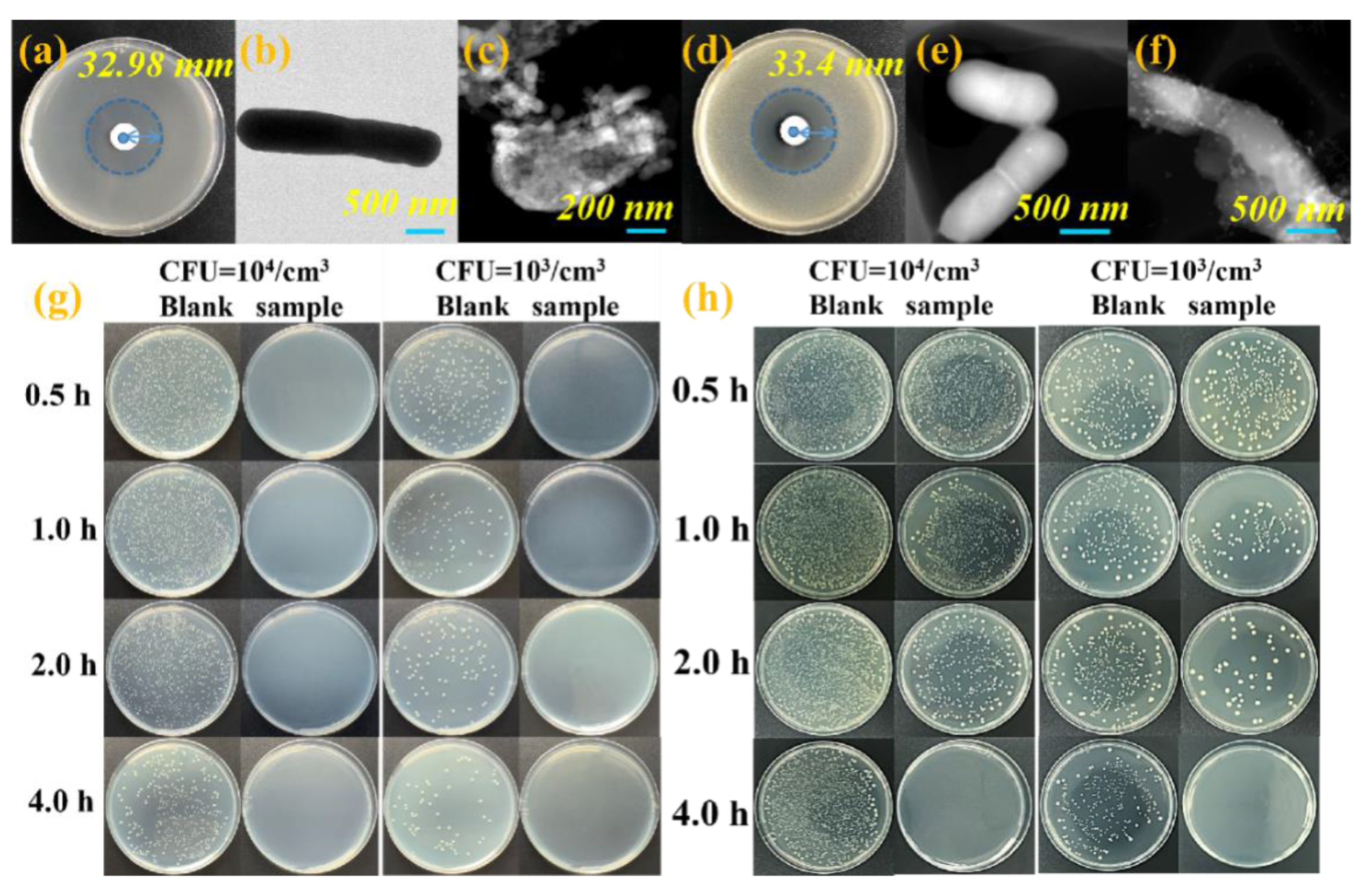 Nanomaterials 13 00202 g002 Nanomaterials 13 00202 g002