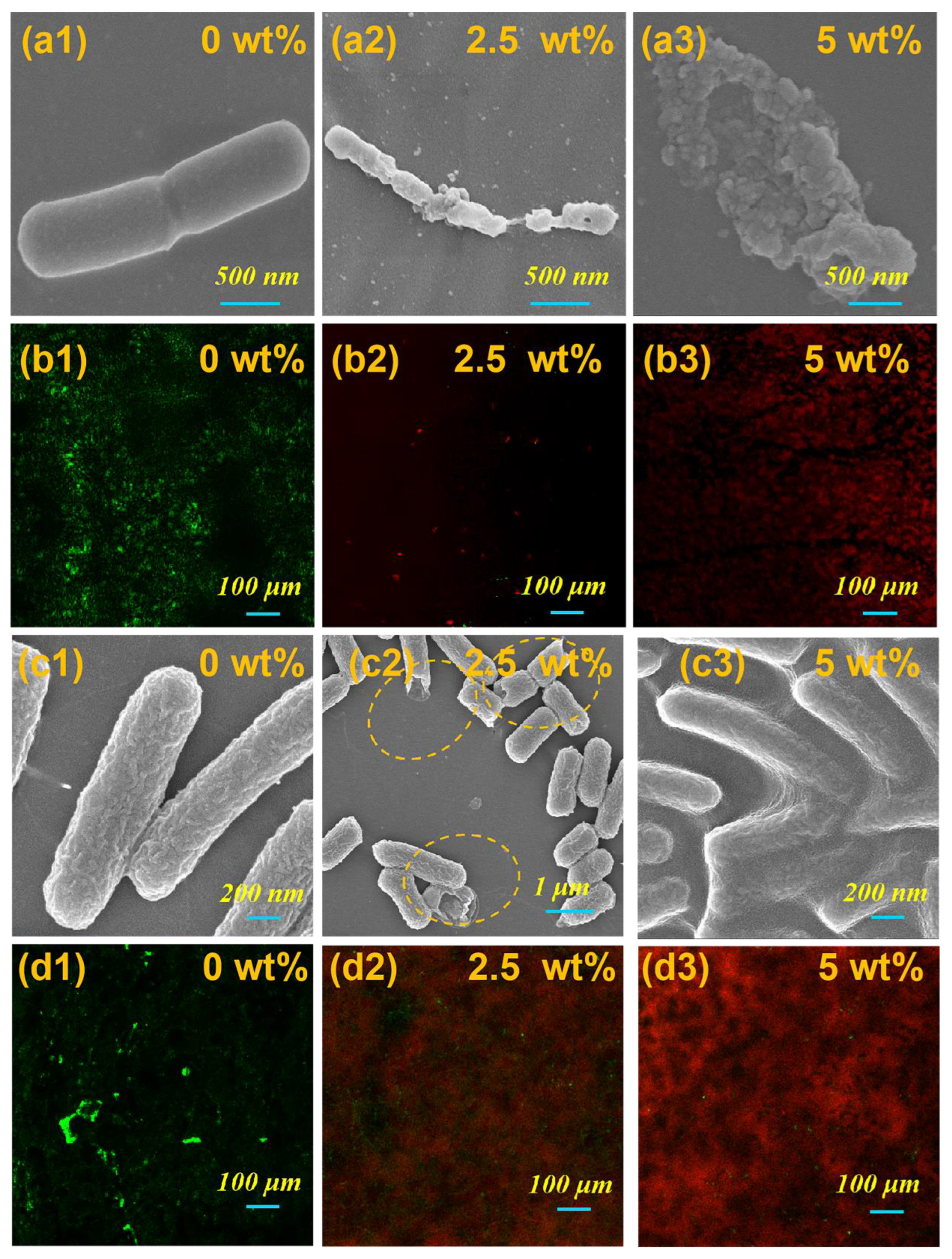 Nanomaterials 13 00202 g004 Nanomaterials 13 00202 g004