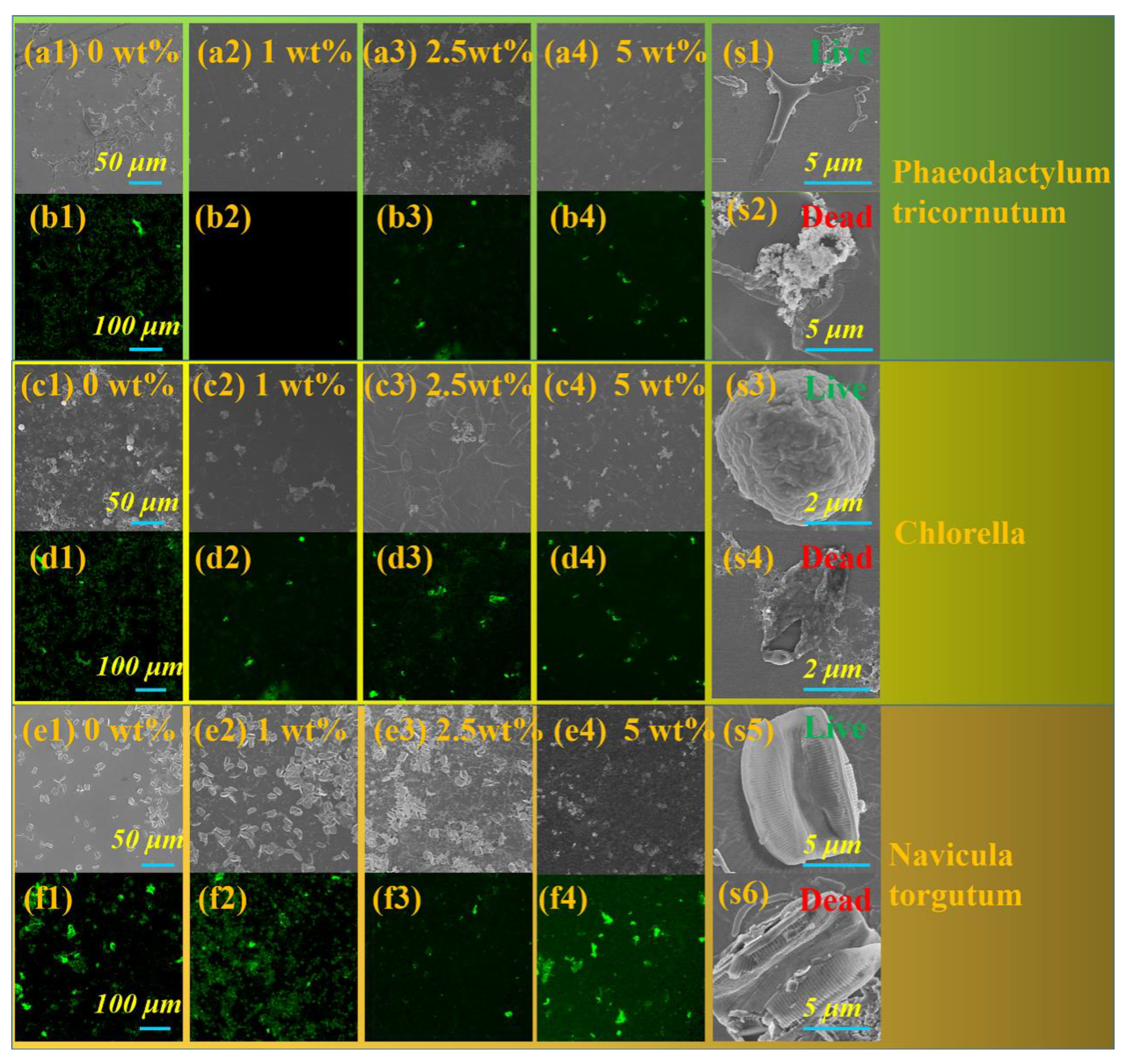 Nanomaterials 13 00202 g005 Nanomaterials 13 00202 g005
