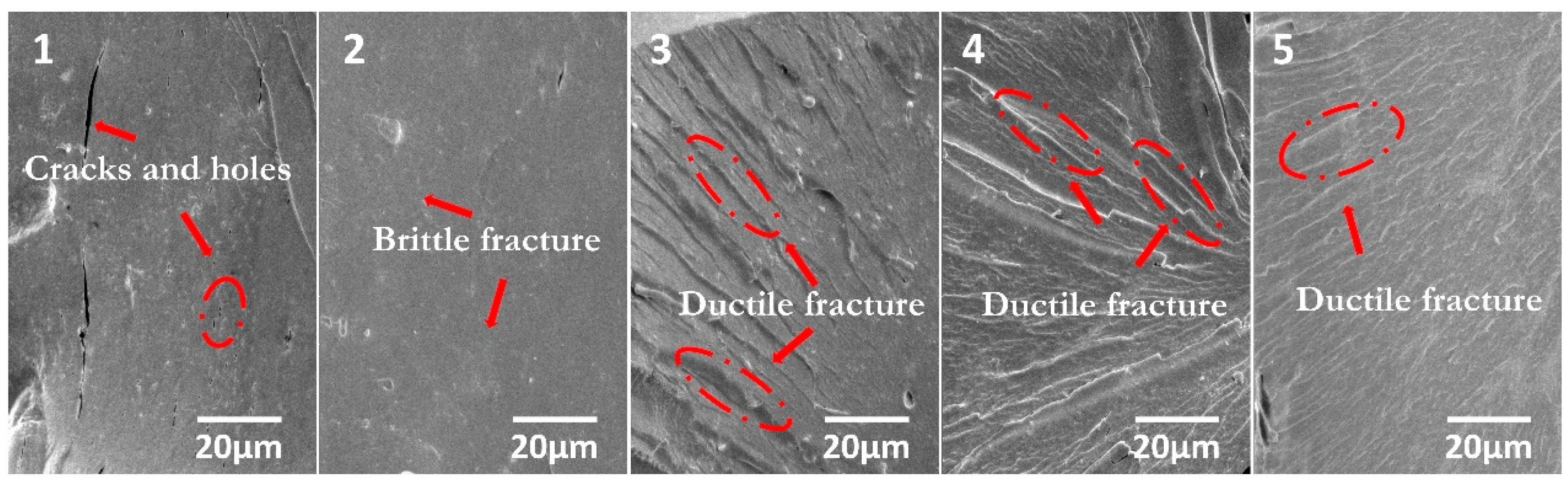 Nanomaterials 13 00203 g007 Nanomaterials 13 00203 g007
