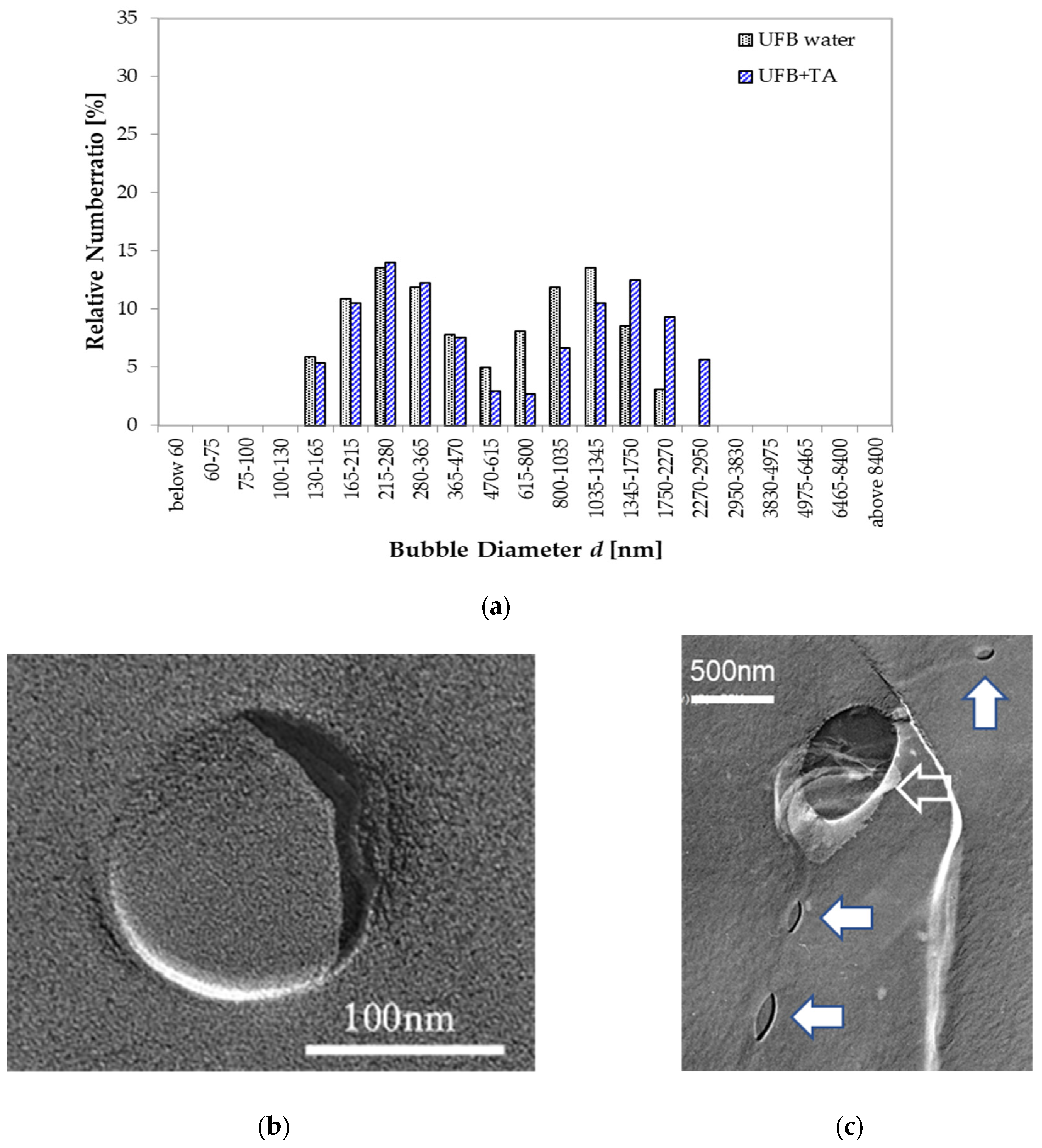 Nanomaterials 13 00205 g009