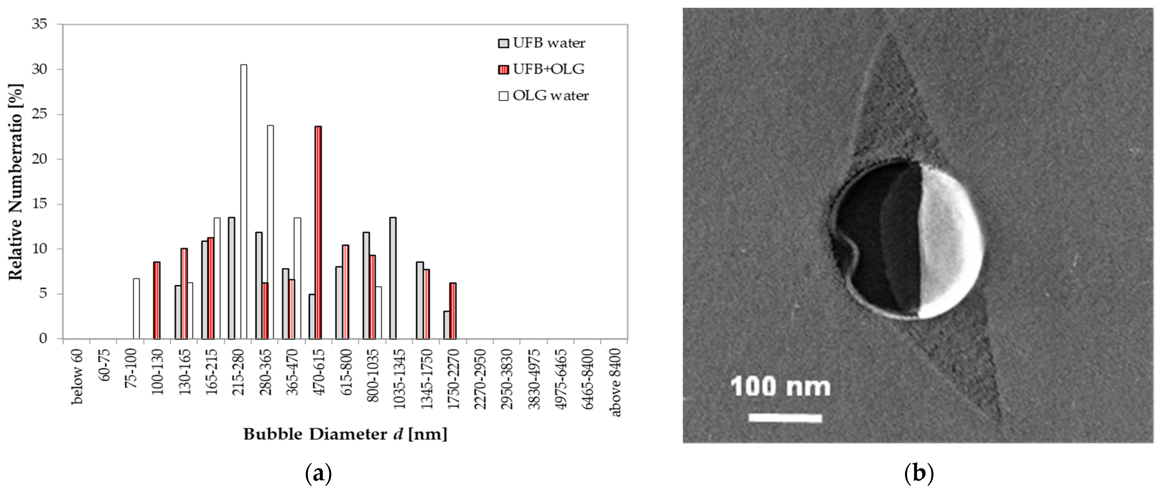 Nanomaterials 13 00205 g011