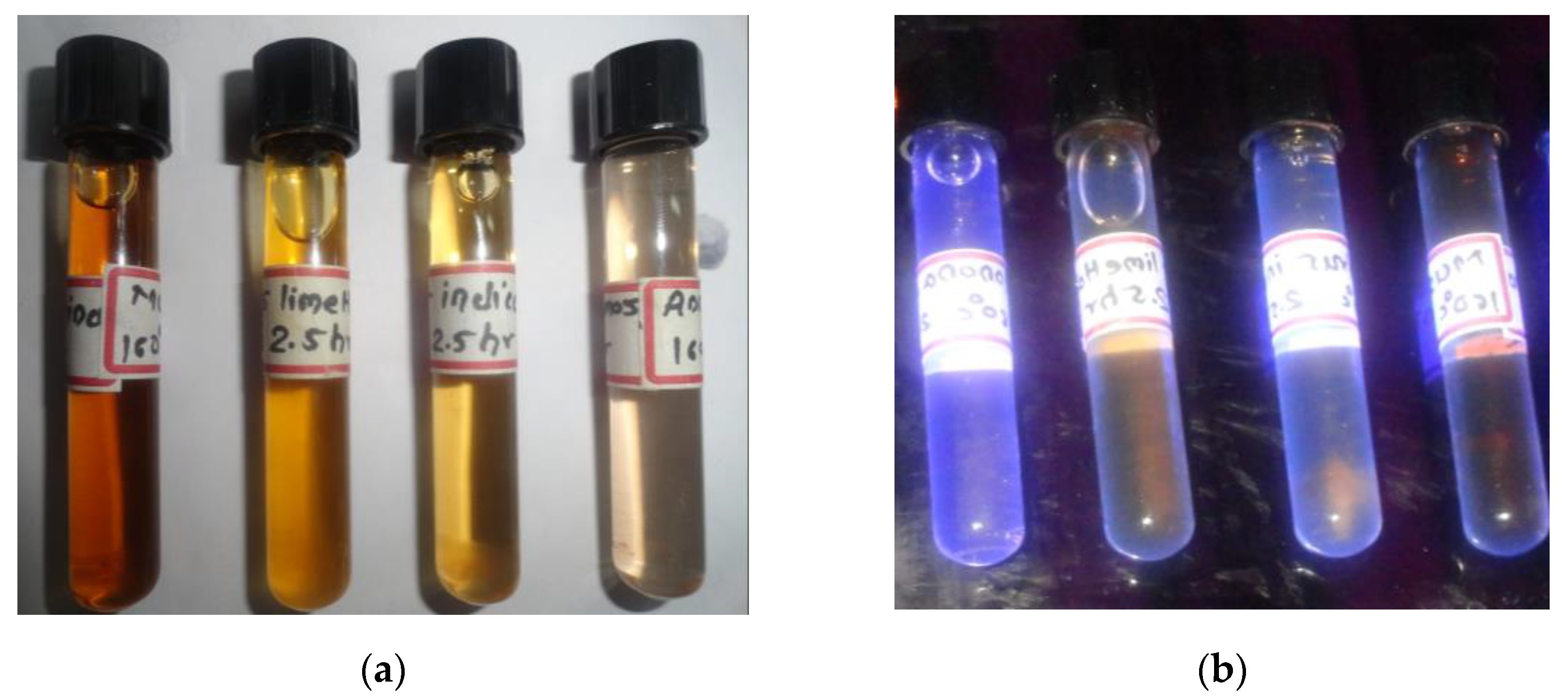 Nanomaterials 13 00209 g001 Nanomaterials 13 00209 g001