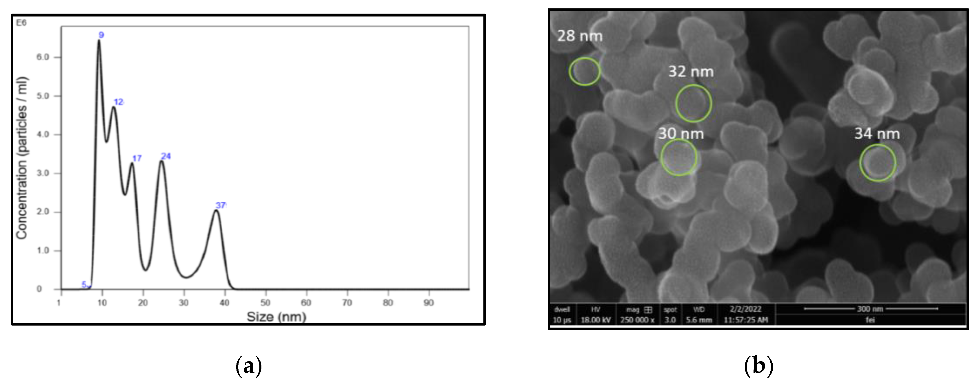 Nanomaterials 13 00209 g003 Nanomaterials 13 00209 g003
