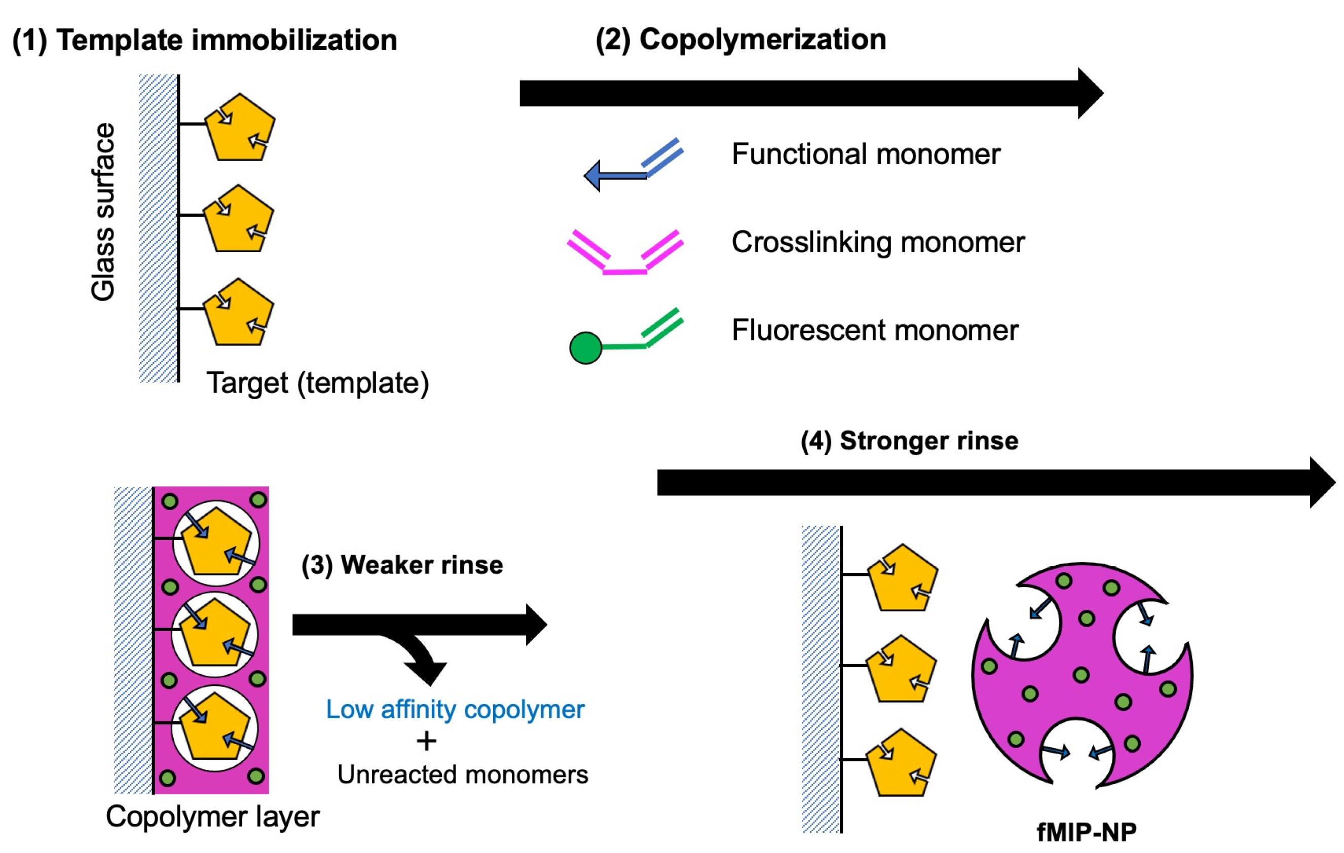 Nanomaterials Free FullText Synthesis of fluorescent Molecularly