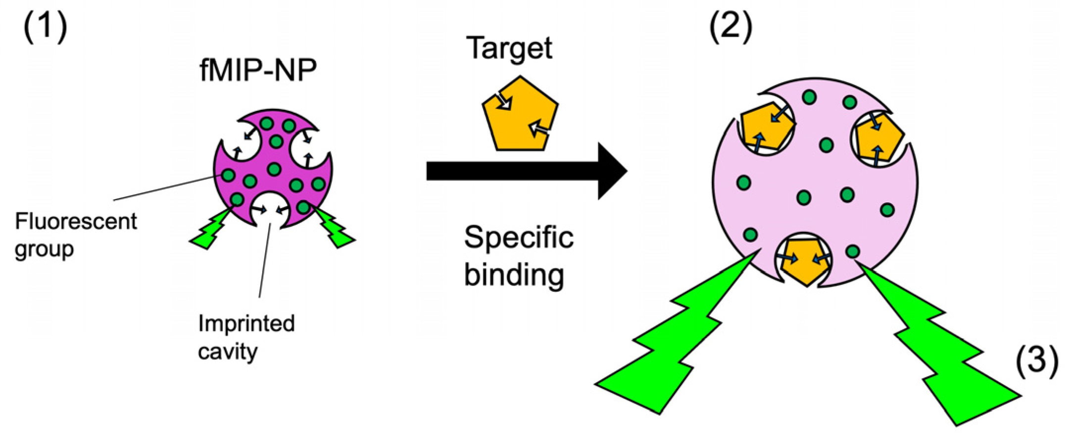 Nanomaterials 13 00212 g009