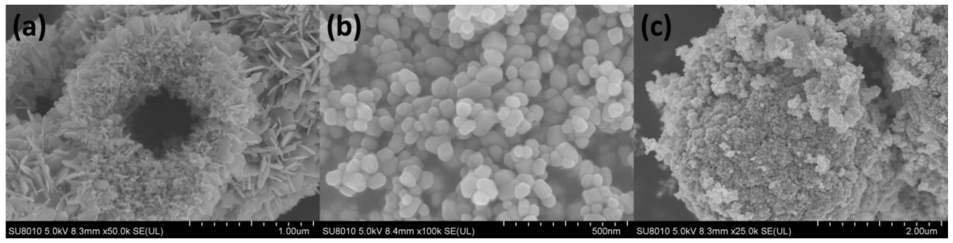 Nanomaterials 13 00214 g003