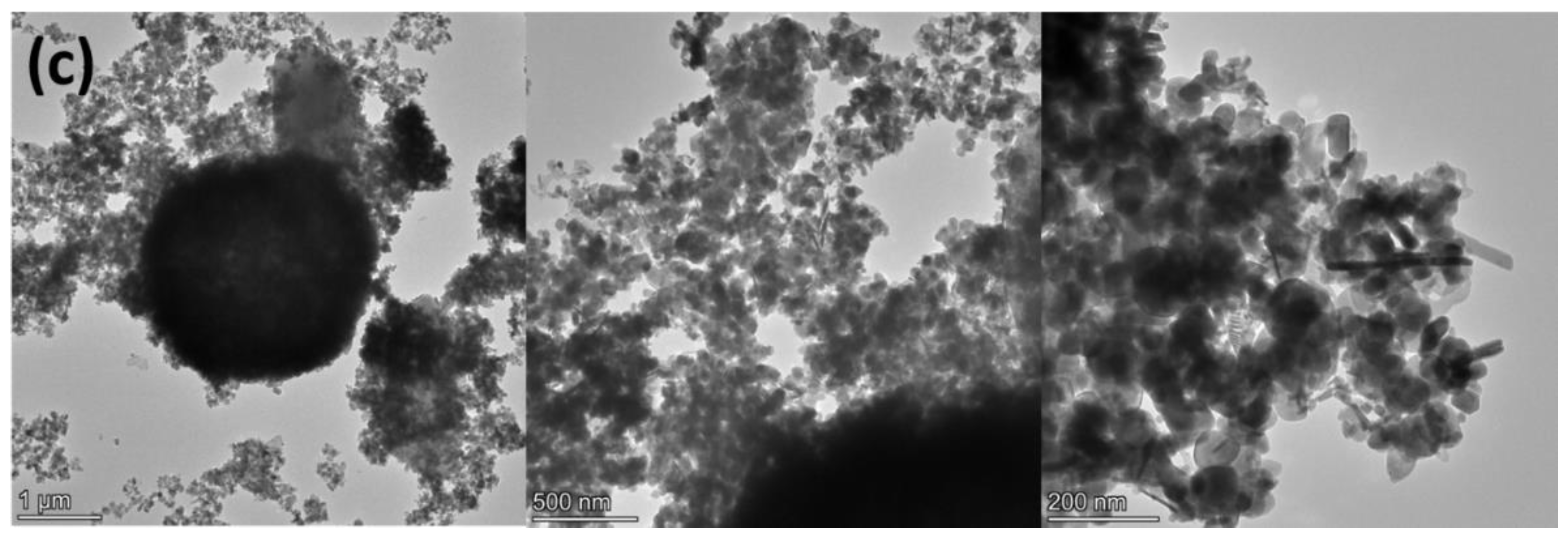 Nanomaterials 13 00214 g004b