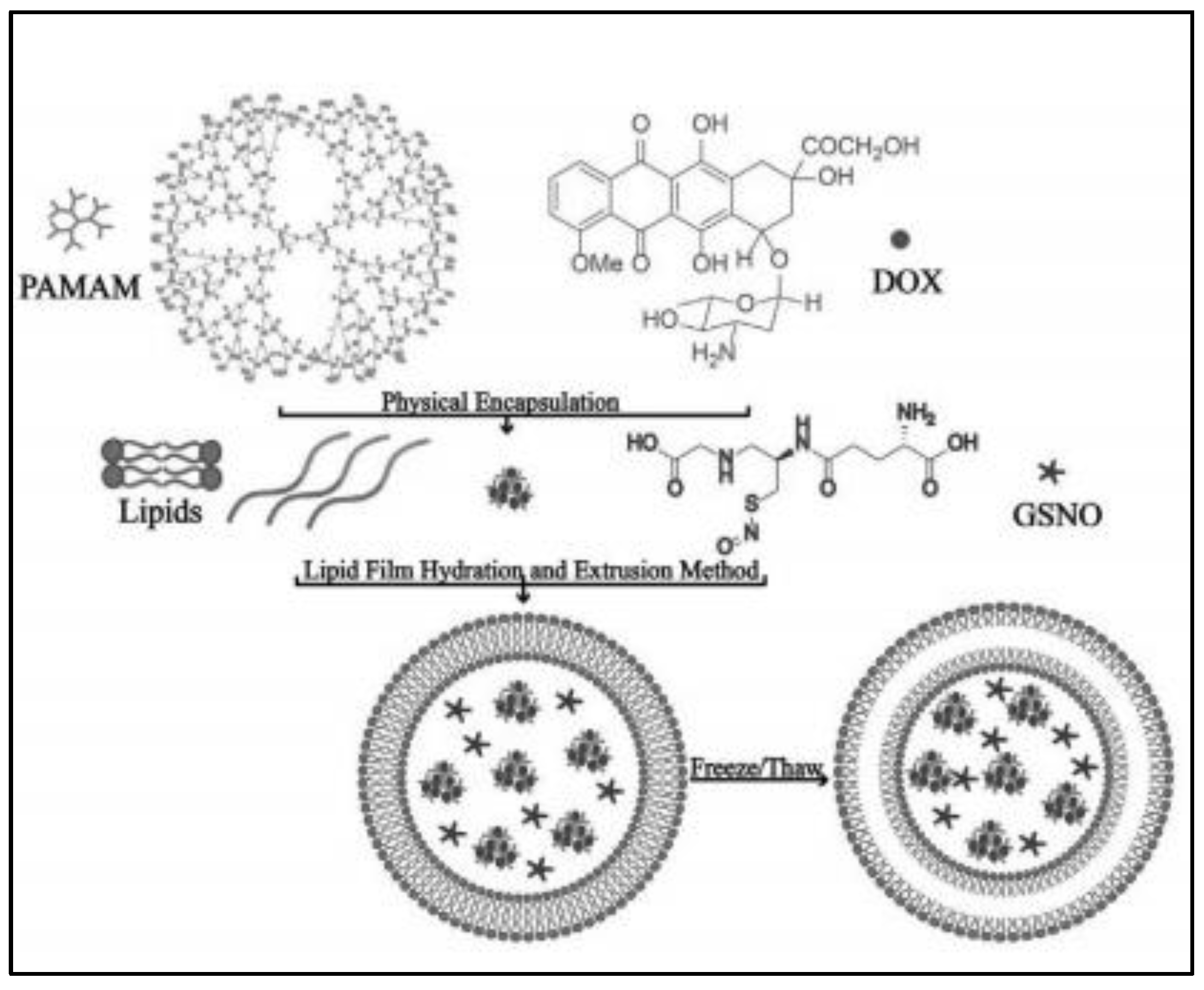 Nanomaterials 13 00224 g002 Nanomaterials 13 00224 g002