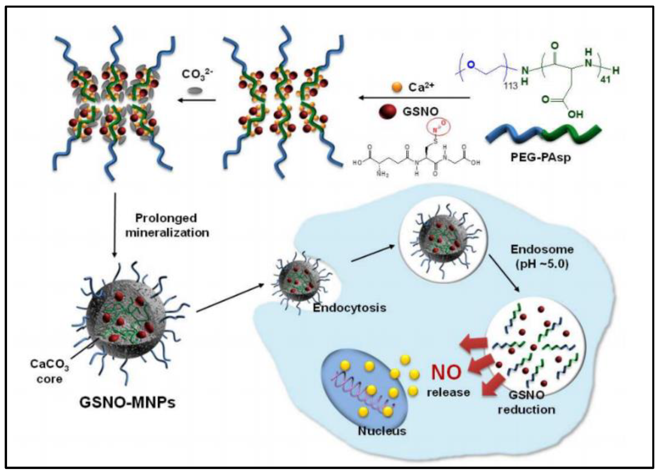 Nanomaterials 13 00224 g004 Nanomaterials 13 00224 g004