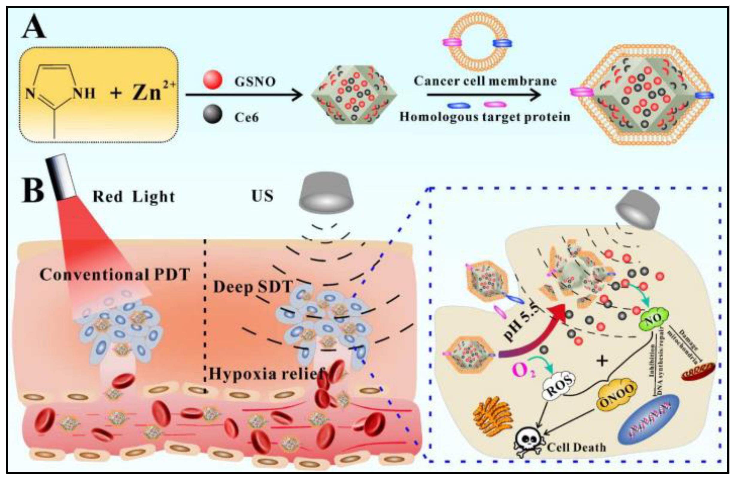 Nanomaterials 13 00224 g005 Nanomaterials 13 00224 g005