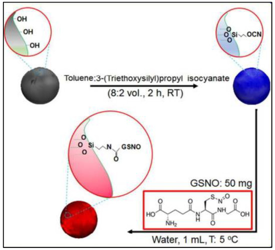 H2o2 Gsno A Mini Review of S-Nitrosoglutathione Loaded Nano/Micro-Formulation ...