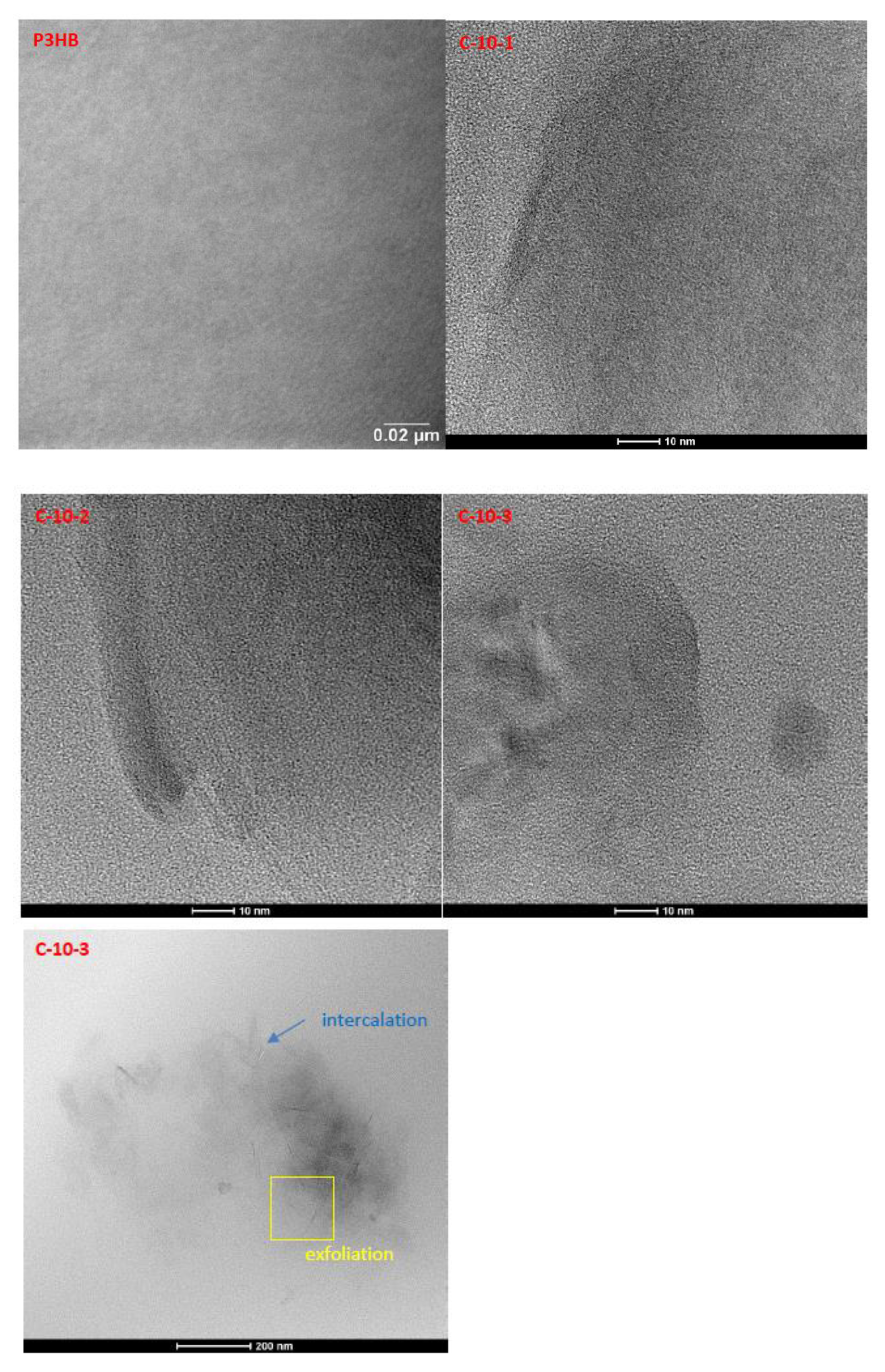 Nanomaterials 13 00225 g002