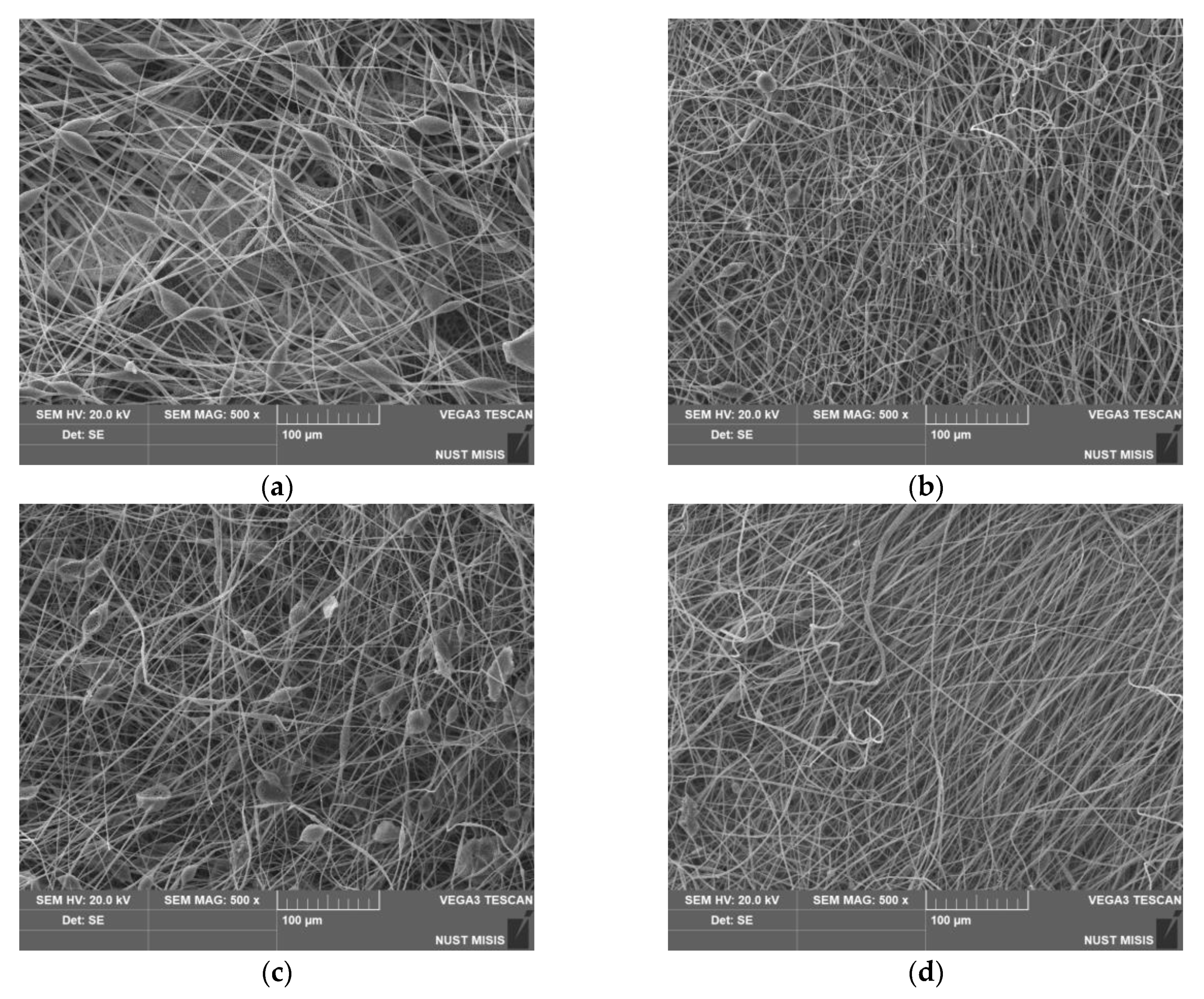 Nanomaterials 13 00236 g002 Nanomaterials 13 00236 g002