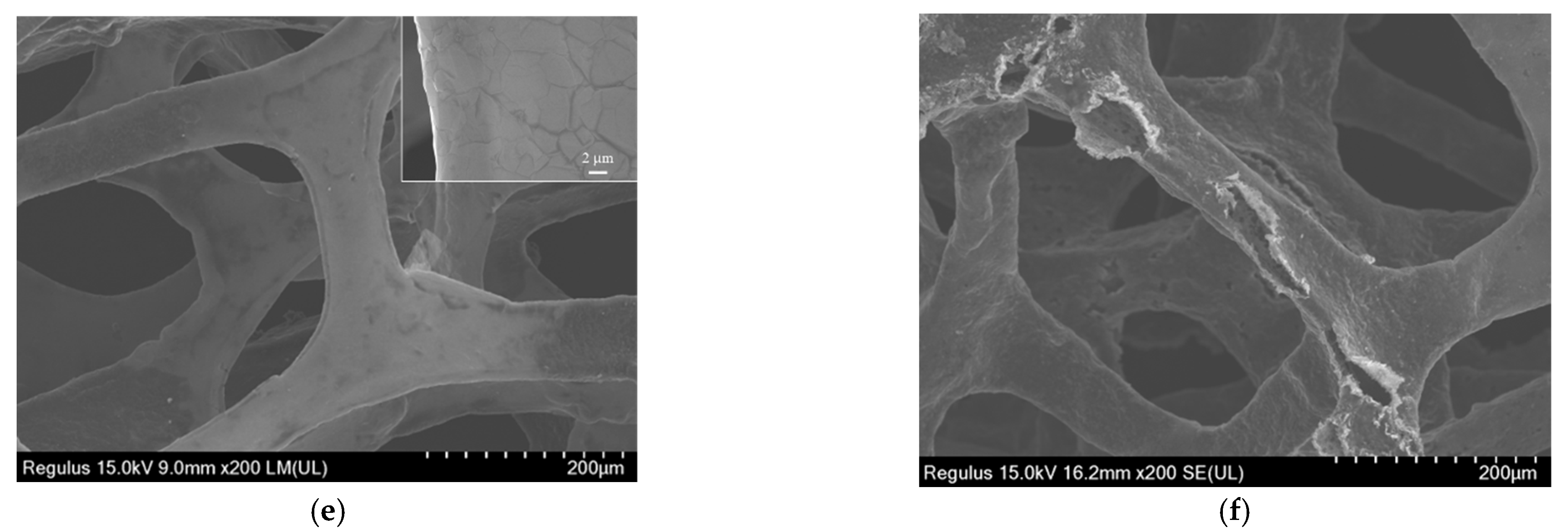 Nanomaterials 13 00239 g002b