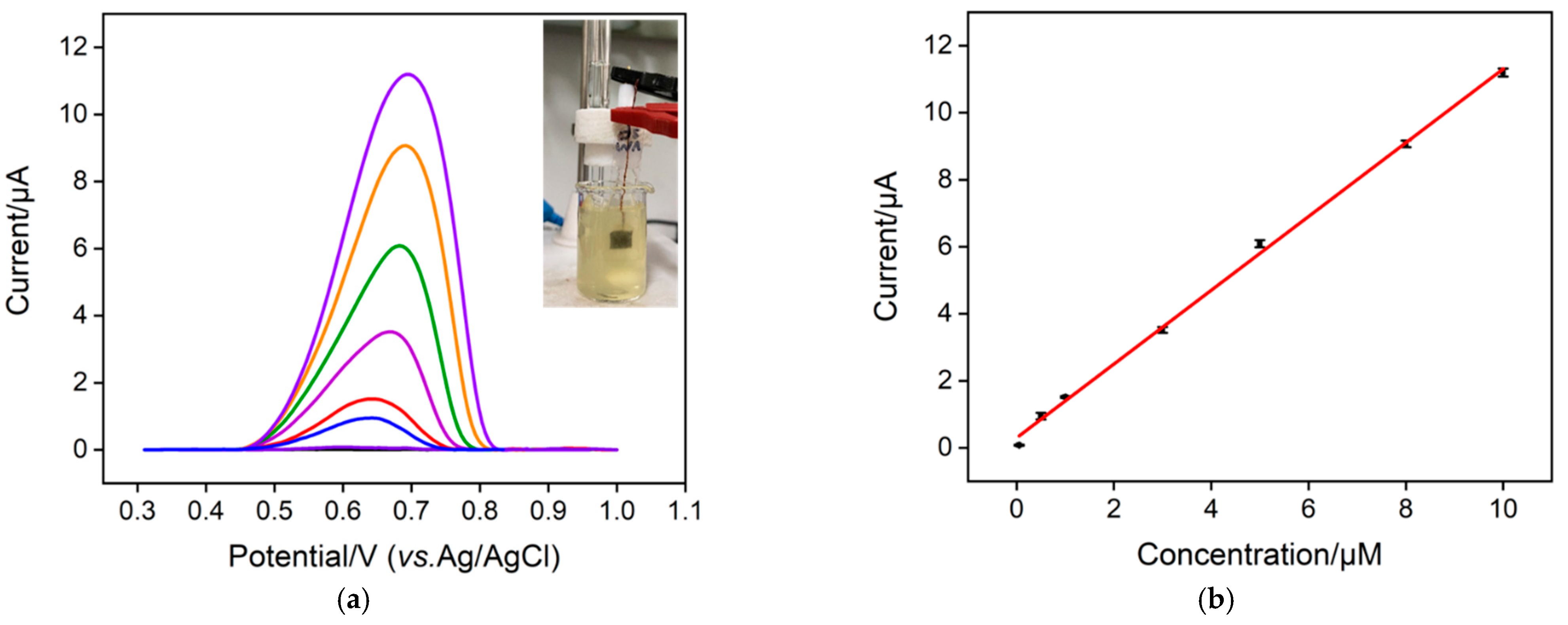 Nanomaterials 13 00239 g007
