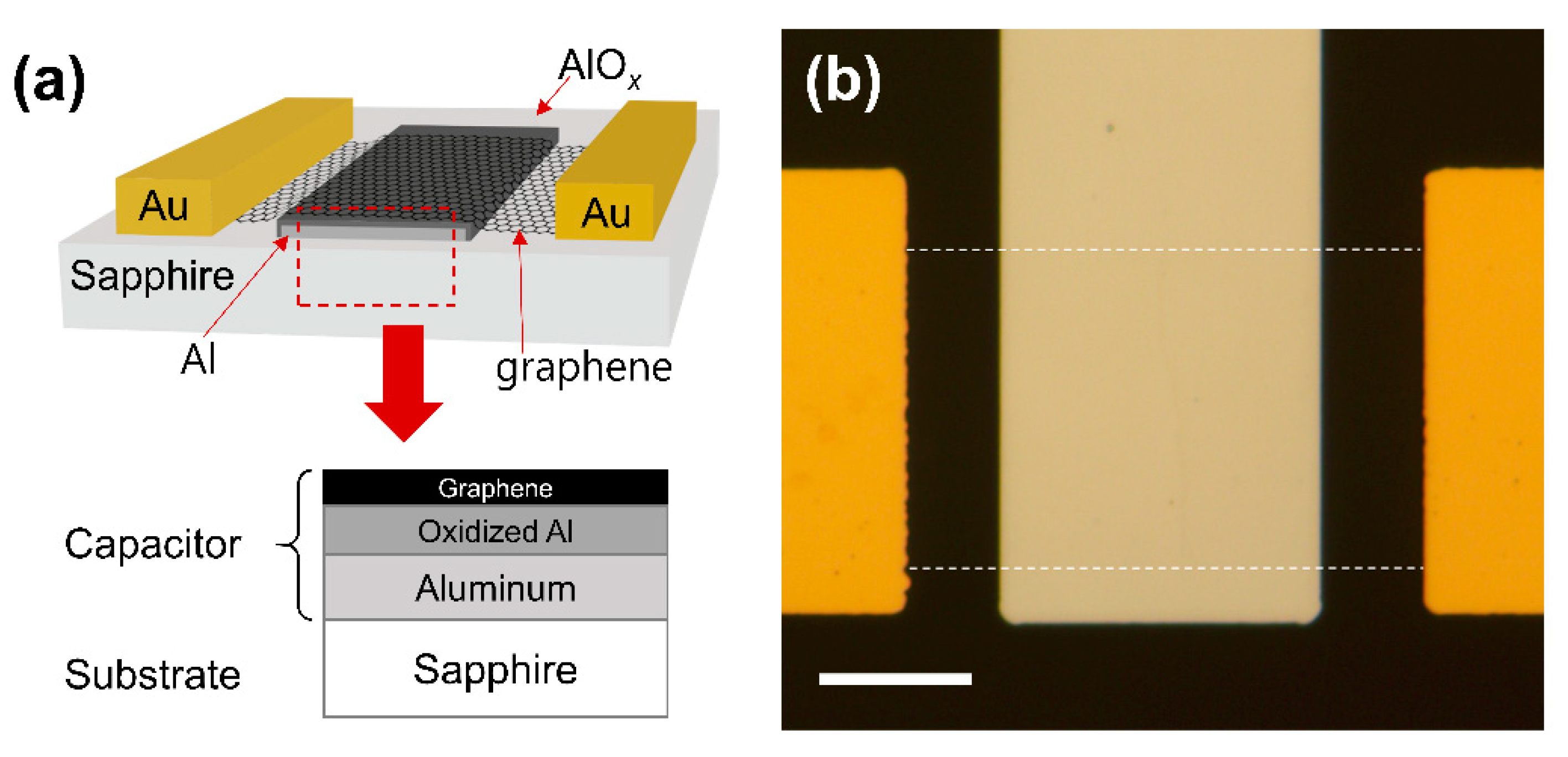 Nanomaterials 13 00243 g001