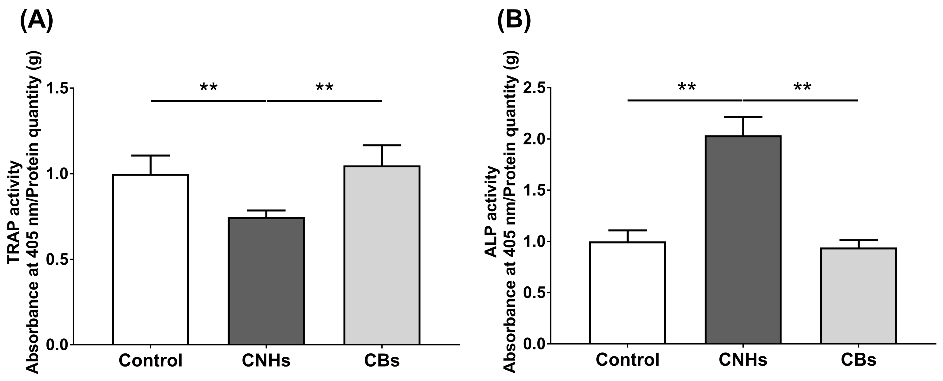 Nanomaterials 13 00244 g004