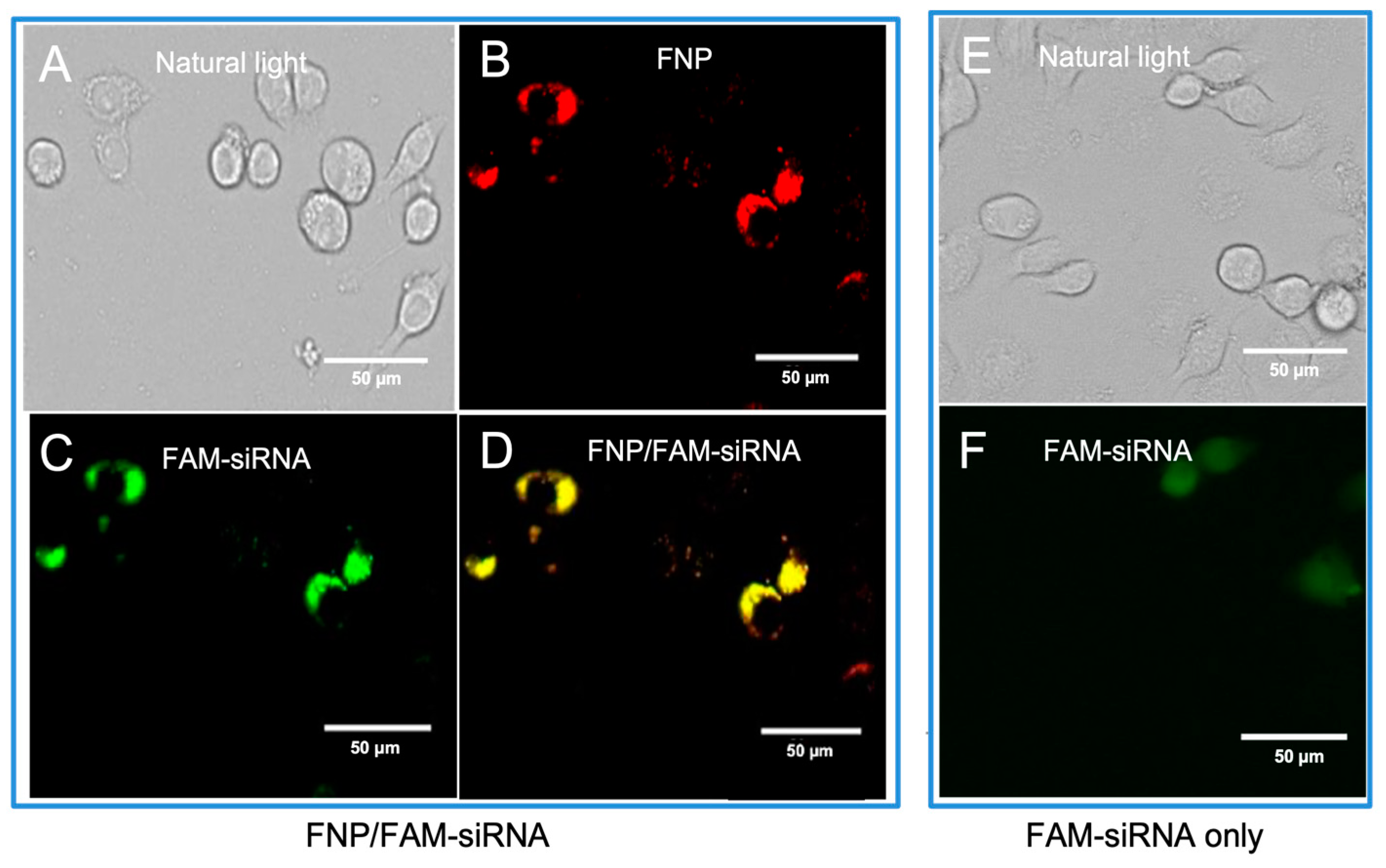 Nanomaterials 13 00245 g001
