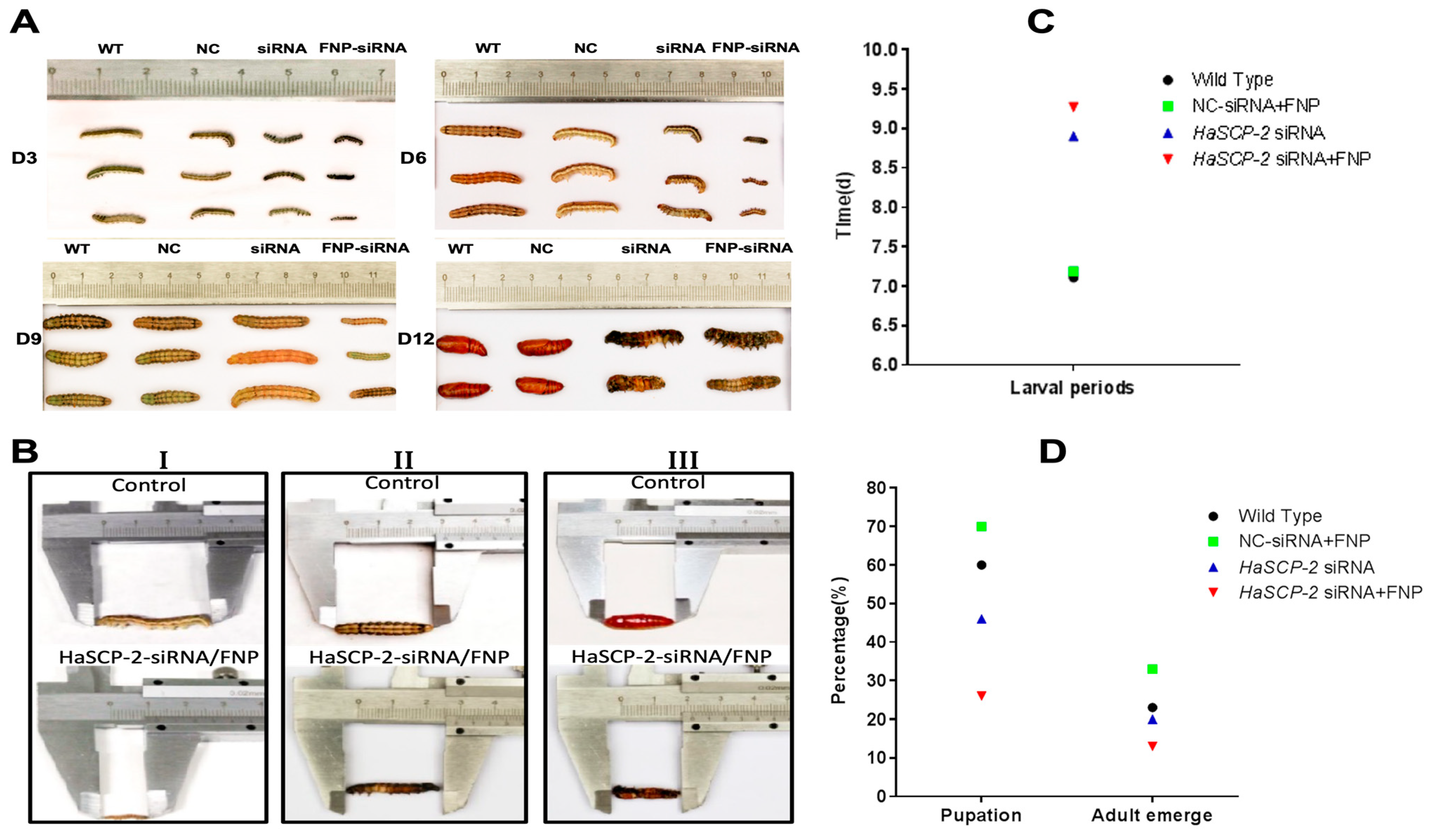 Nanomaterials 13 00245 g008