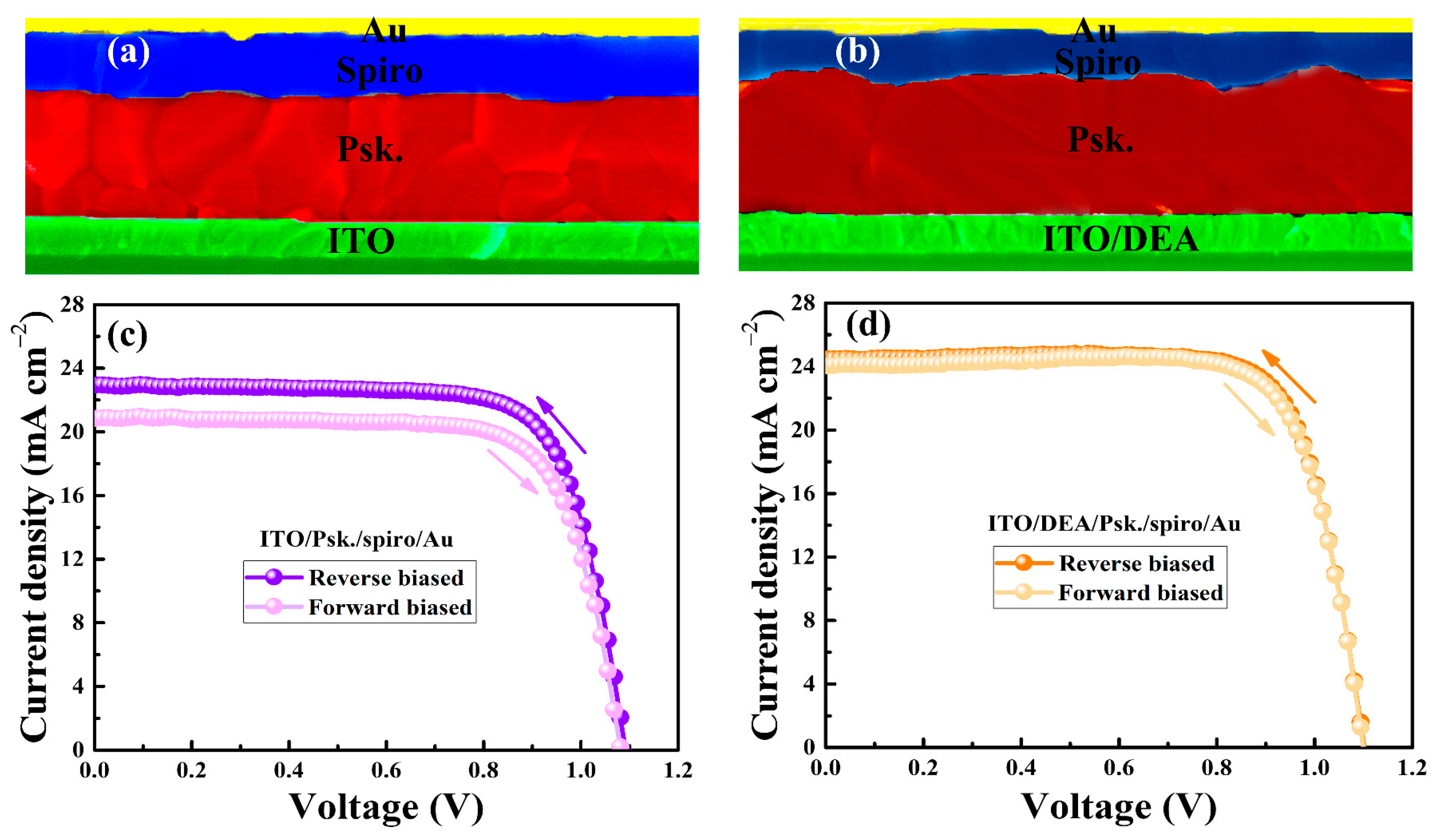Nanomaterials 13 00250 g006