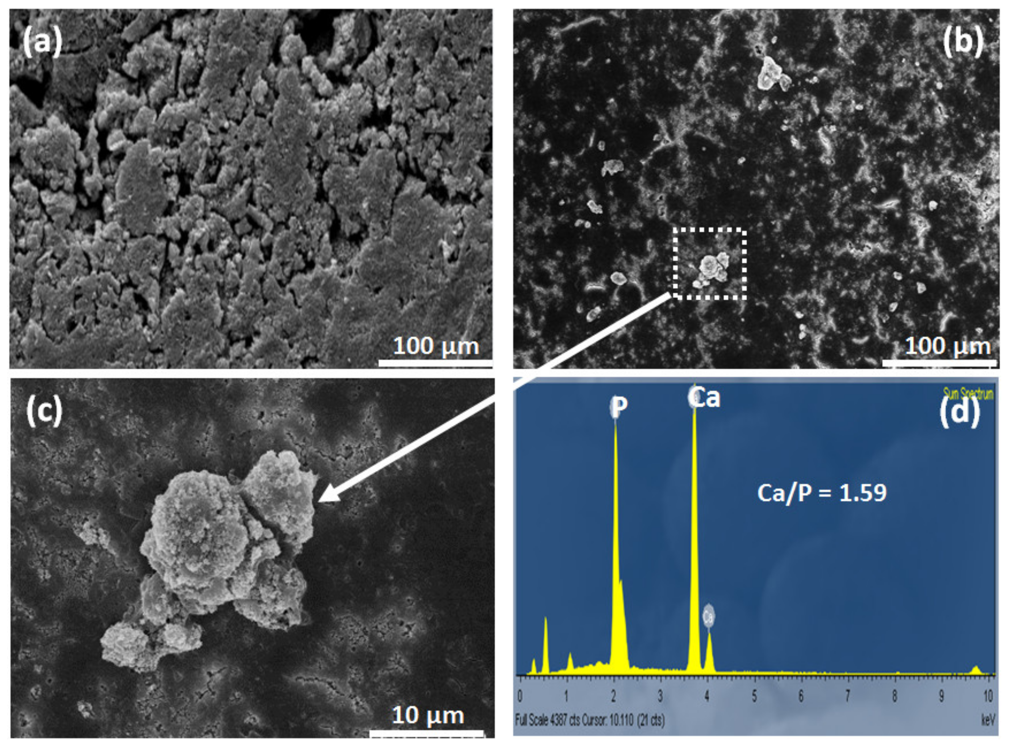 Nanomaterials 13 00255 g006