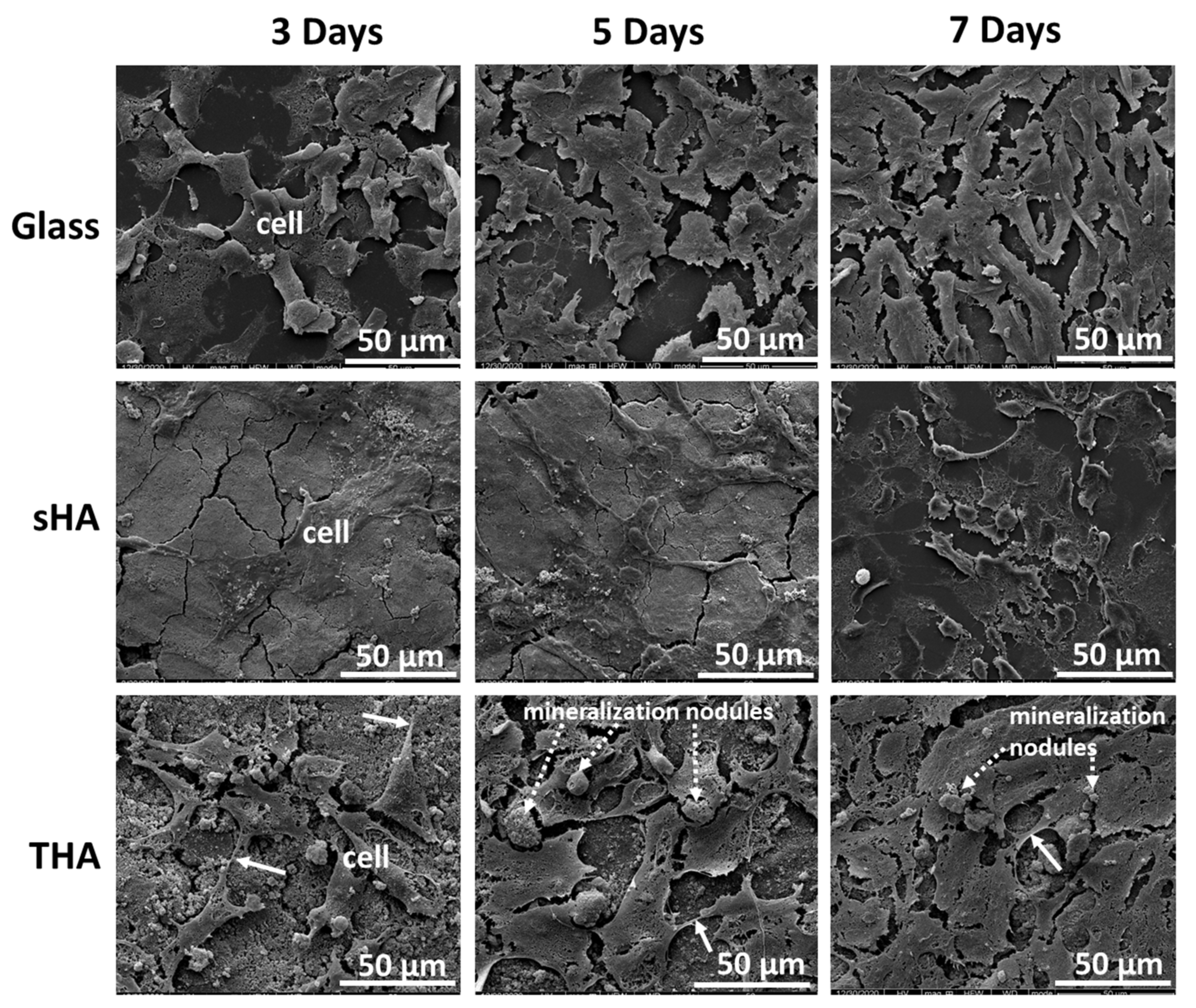 Nanomaterials 13 00255 g008