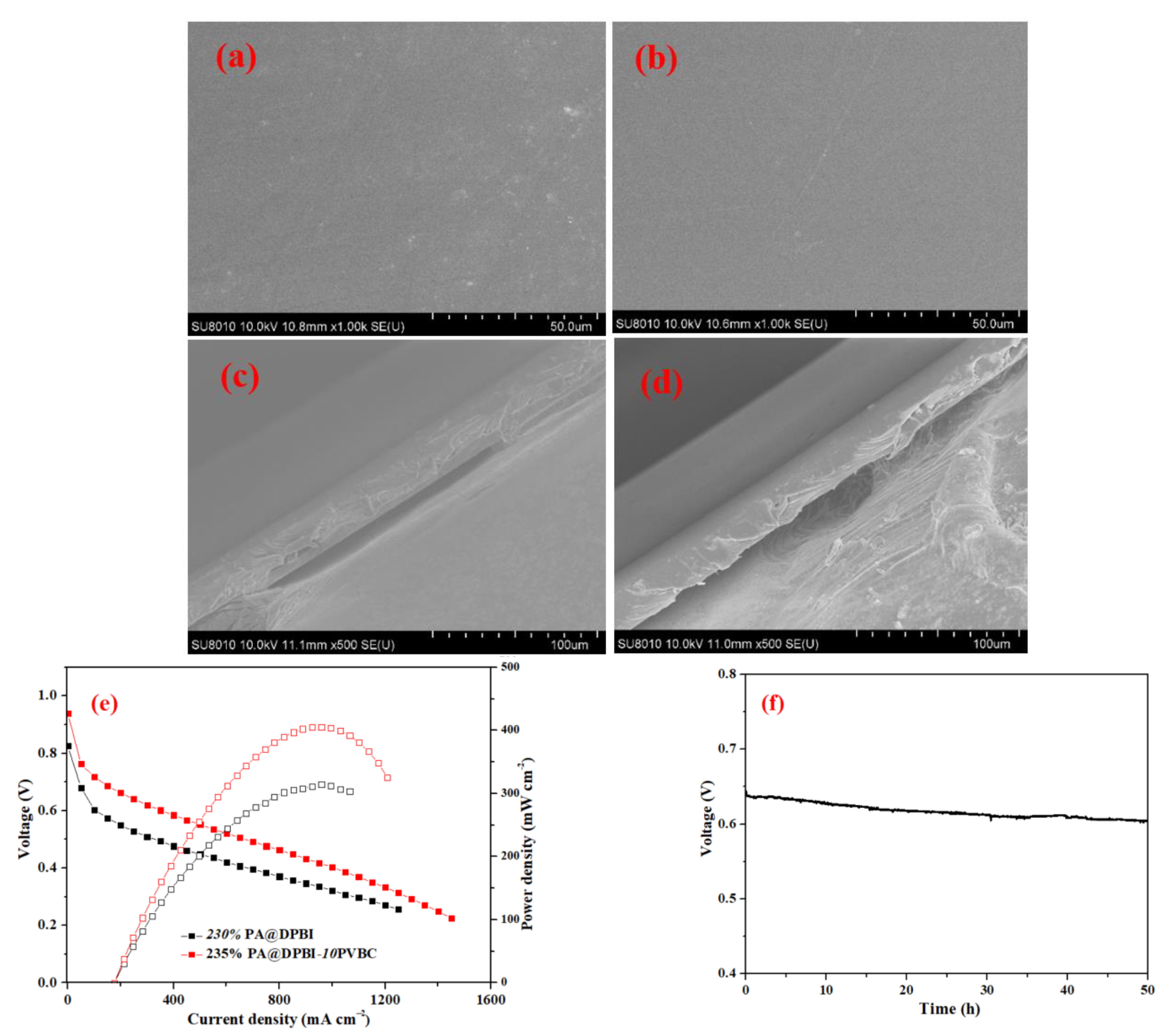Nanomaterials 13 00266 g004