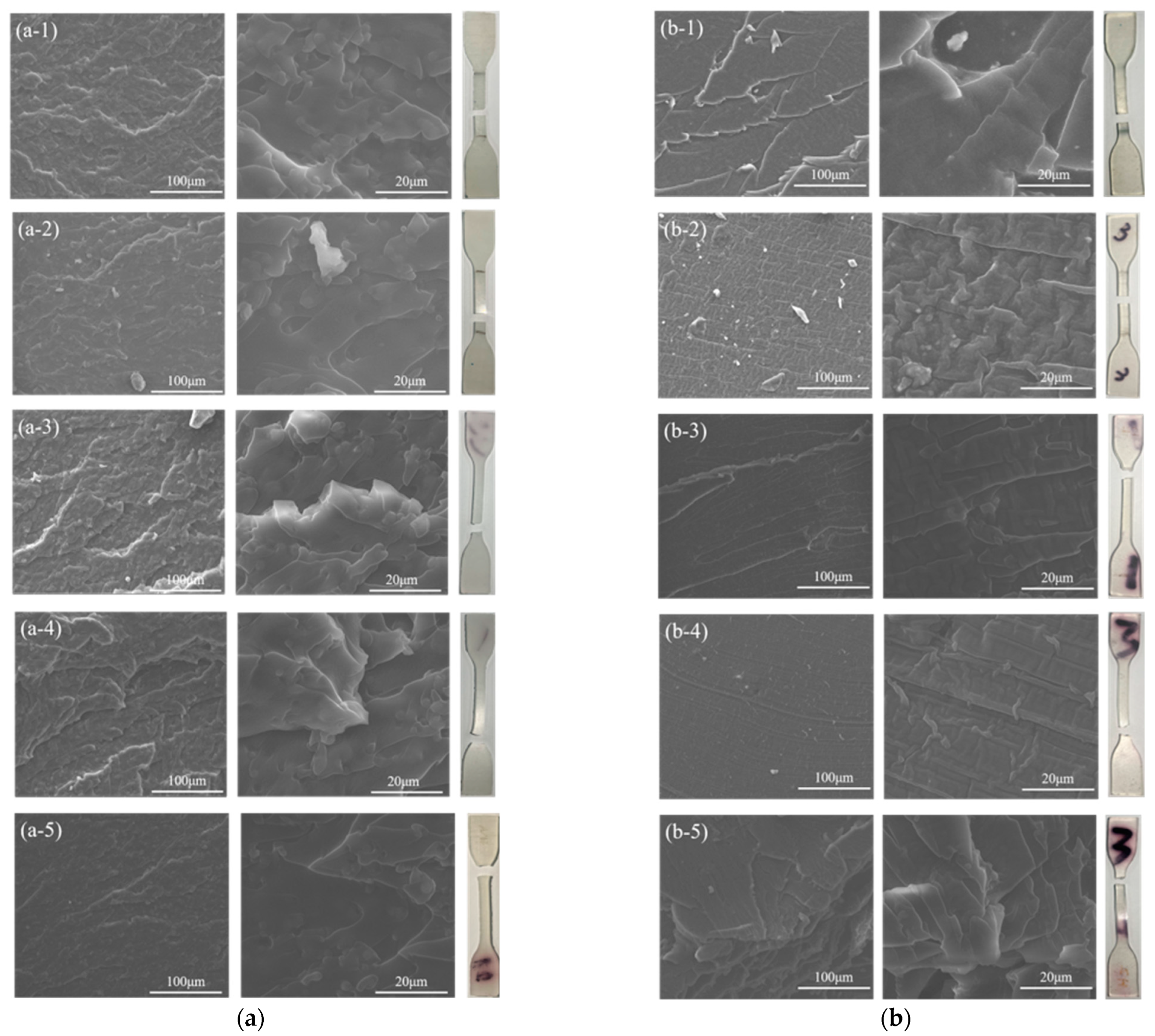 Nanomaterials 13 00268 g013a Nanomaterials 13 00268 g013a