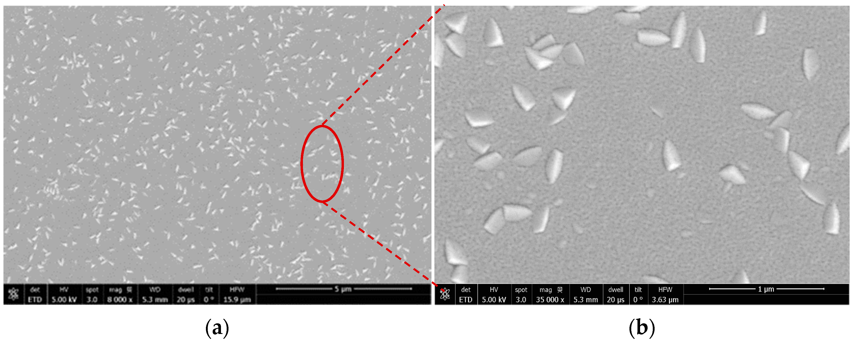 Nanomaterials 13 00274 g001 Nanomaterials 13 00274 g001