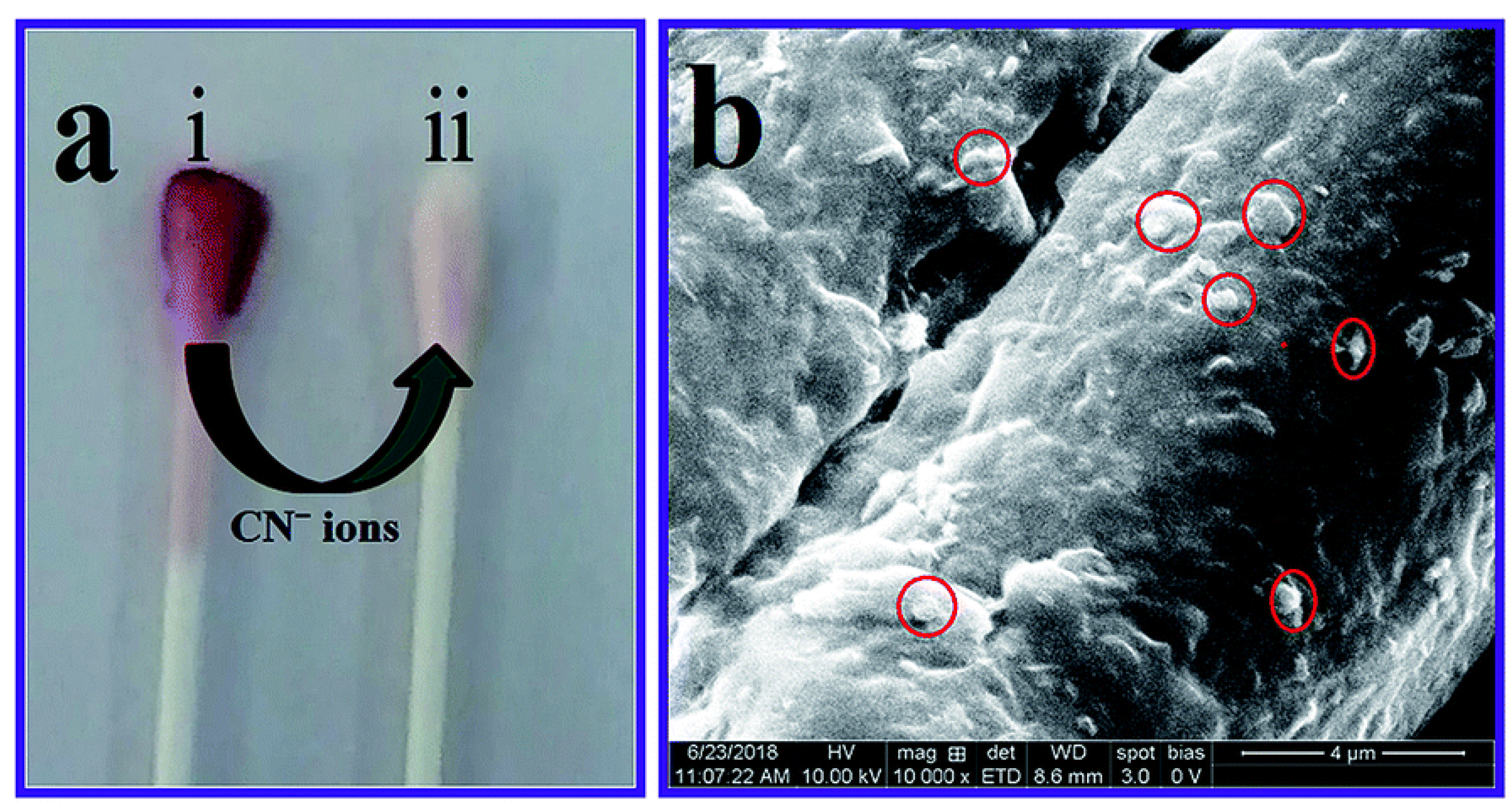 Nanomaterials 13 00290 g002