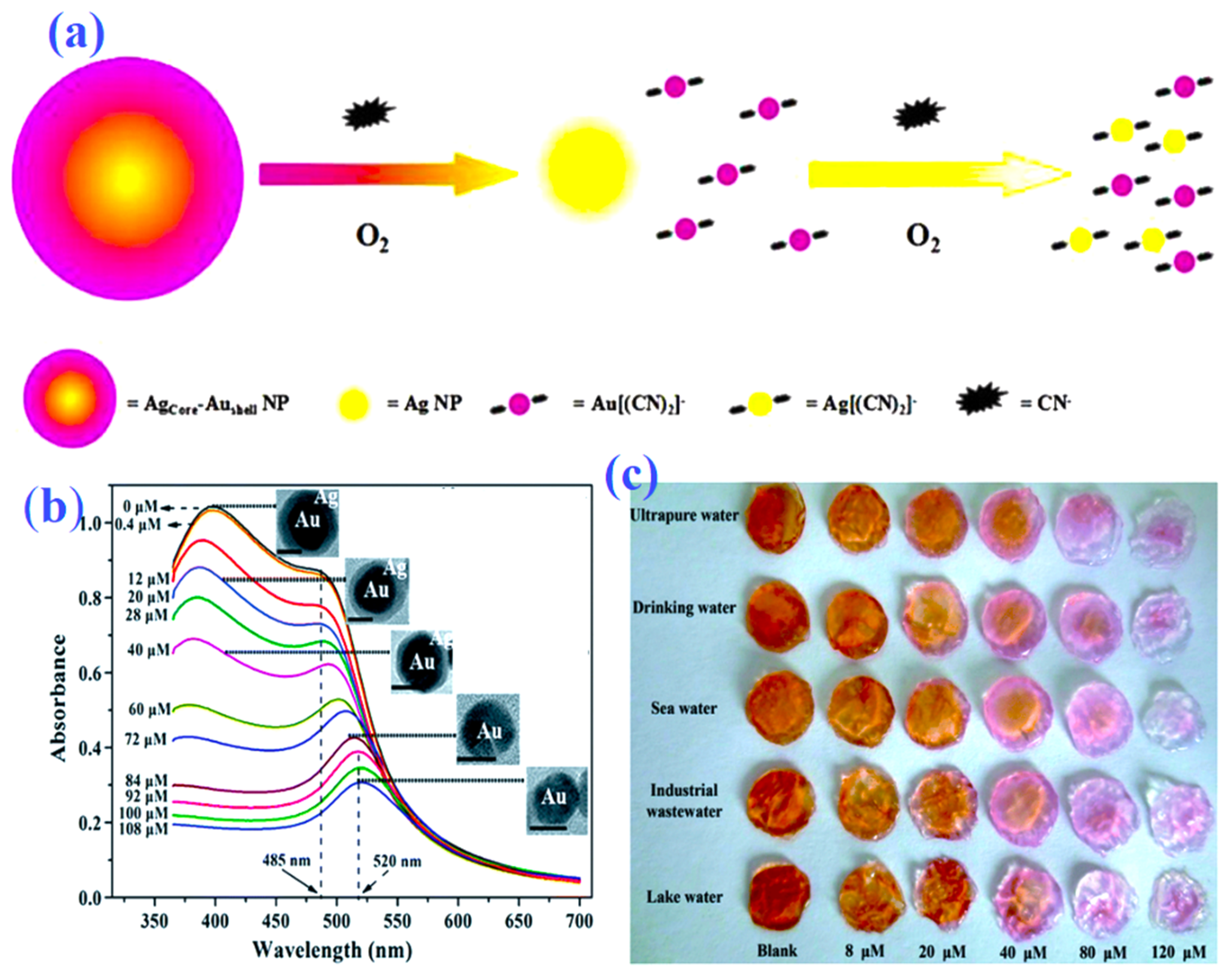 Nanomaterials 13 00290 g004
