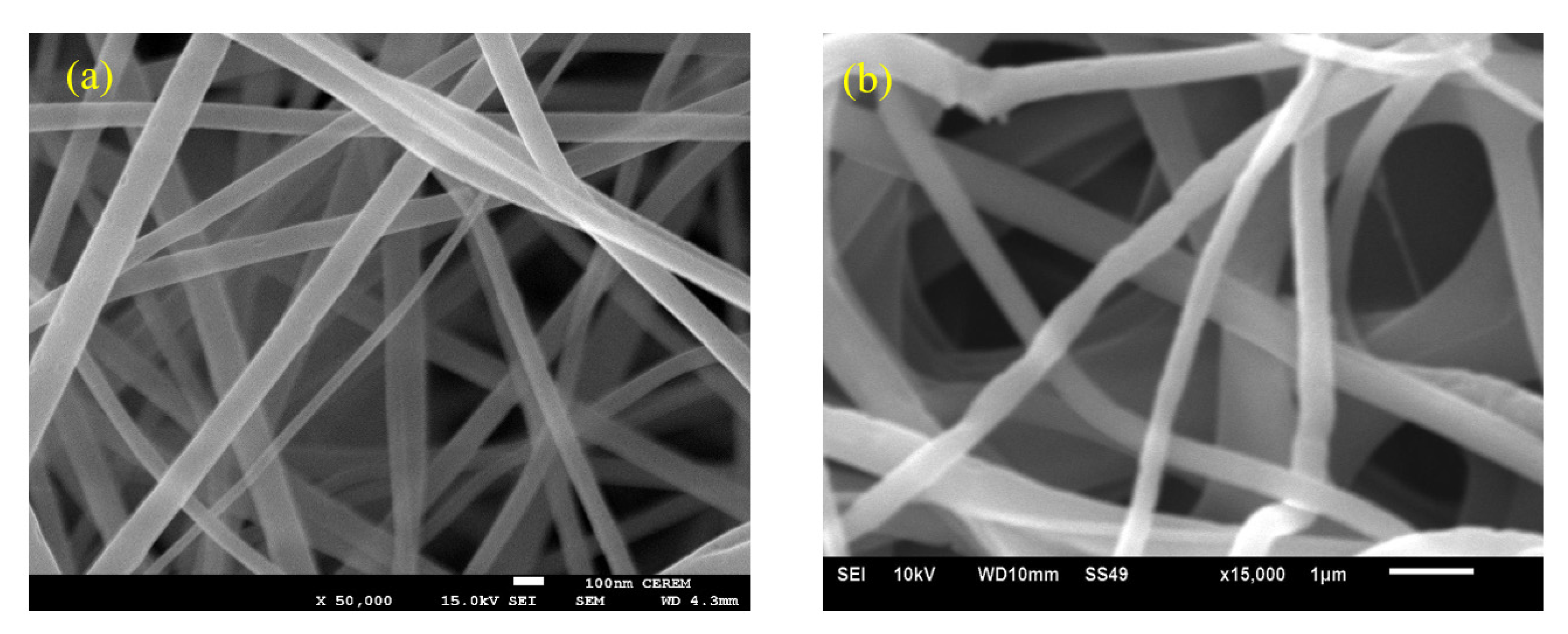 Nanomaterials 13 00294 g004