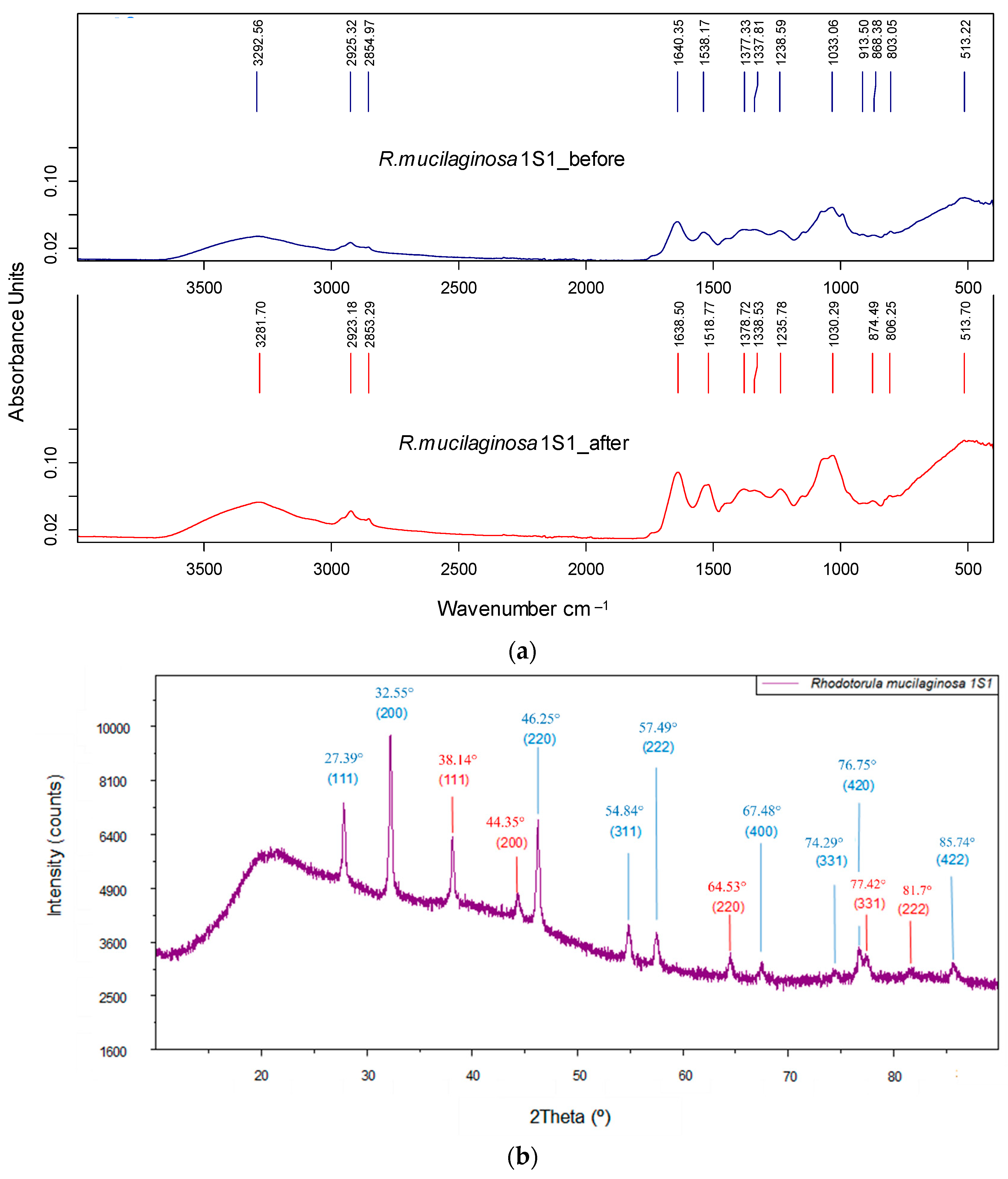 Nanomaterials 13 00295 g004