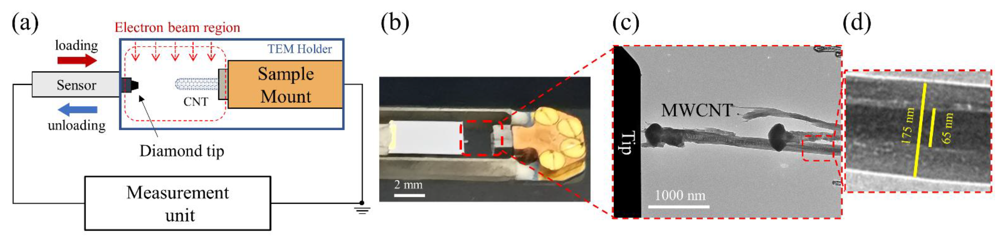 Nanomaterials 13 00301 g001 Nanomaterials 13 00301 g001