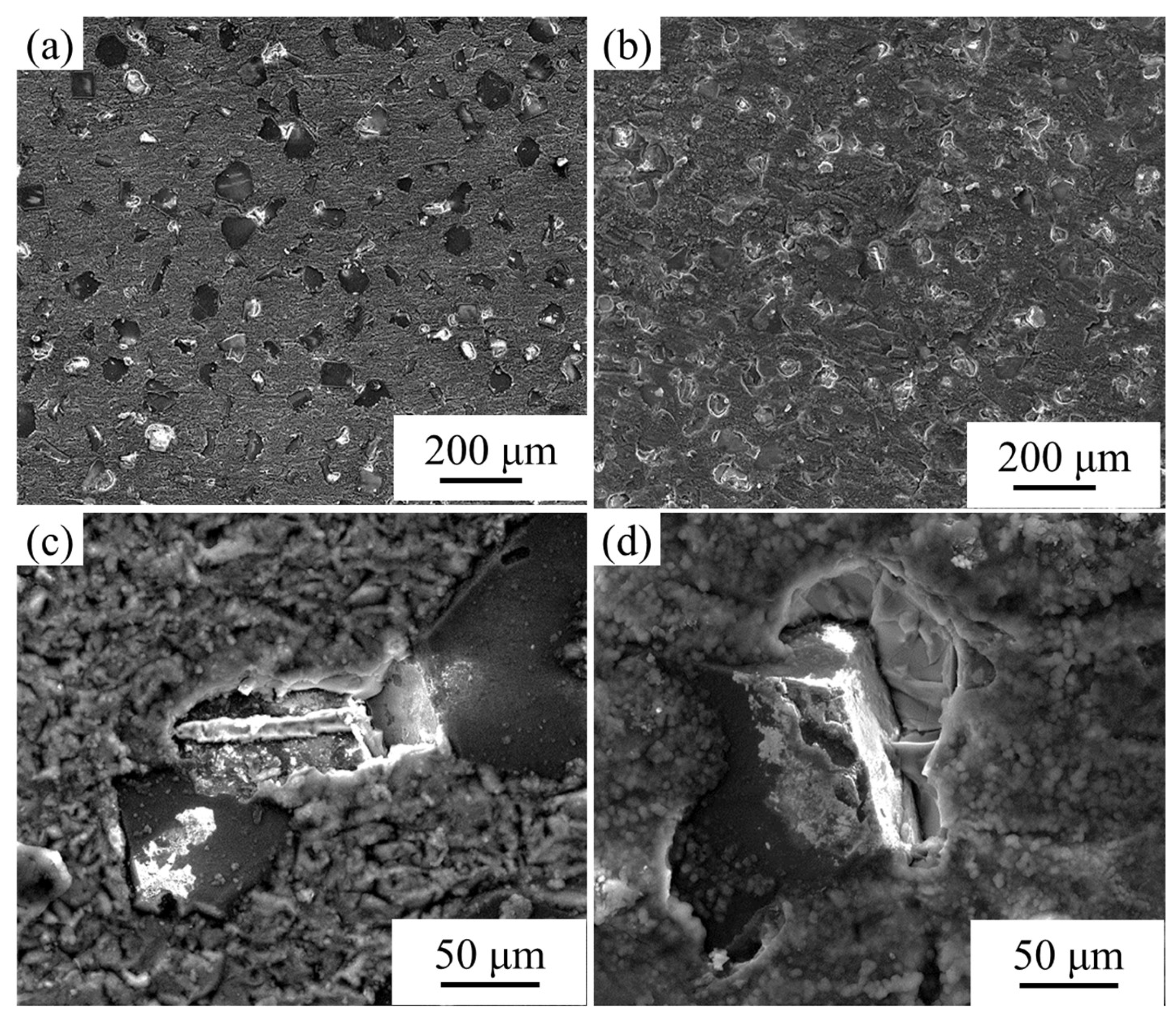 Nanomaterials 13 00307 g006 Nanomaterials 13 00307 g006