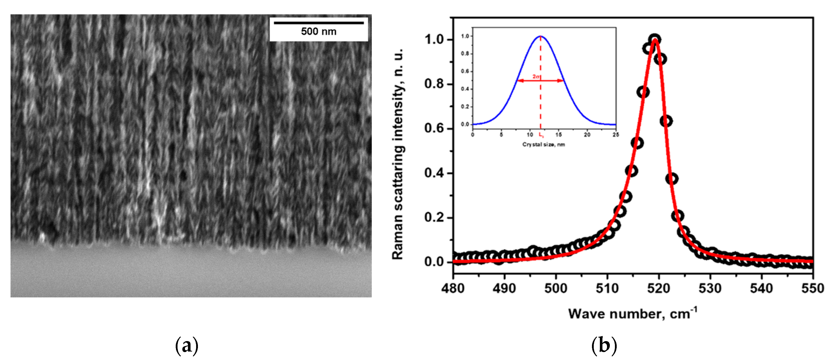 Nanomaterials 13 00310 g001 Nanomaterials 13 00310 g001