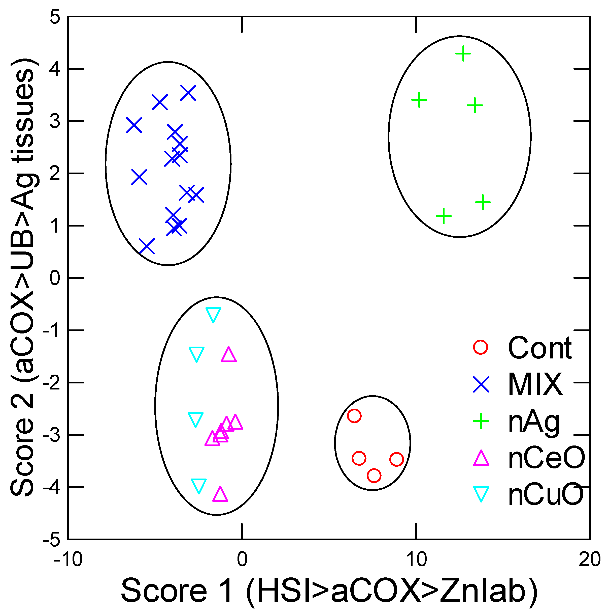 Nanomaterials 13 00311 g005