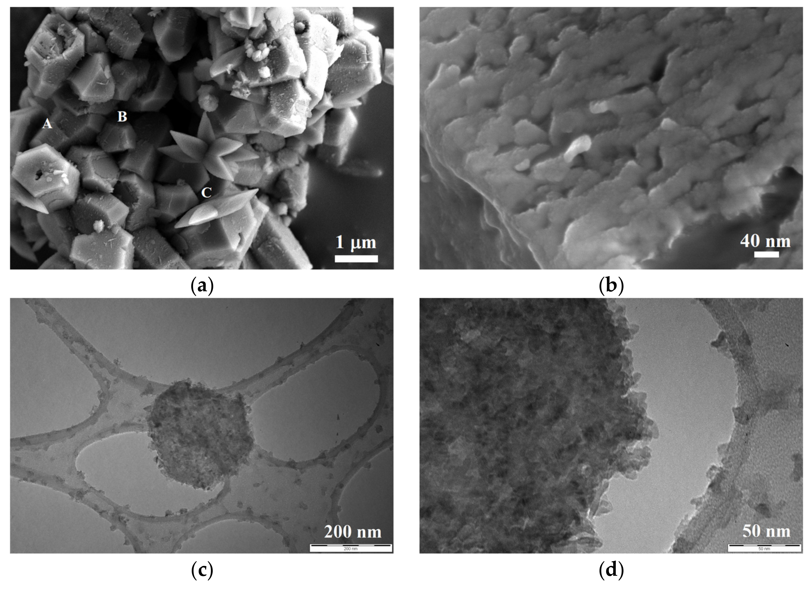 Nanomaterials 13 00317 g005 Nanomaterials 13 00317 g005