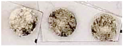 Nanomaterials 13 00317 i015 Nanomaterials 13 00317 i015