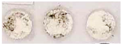 Nanomaterials 13 00317 i016 Nanomaterials 13 00317 i016