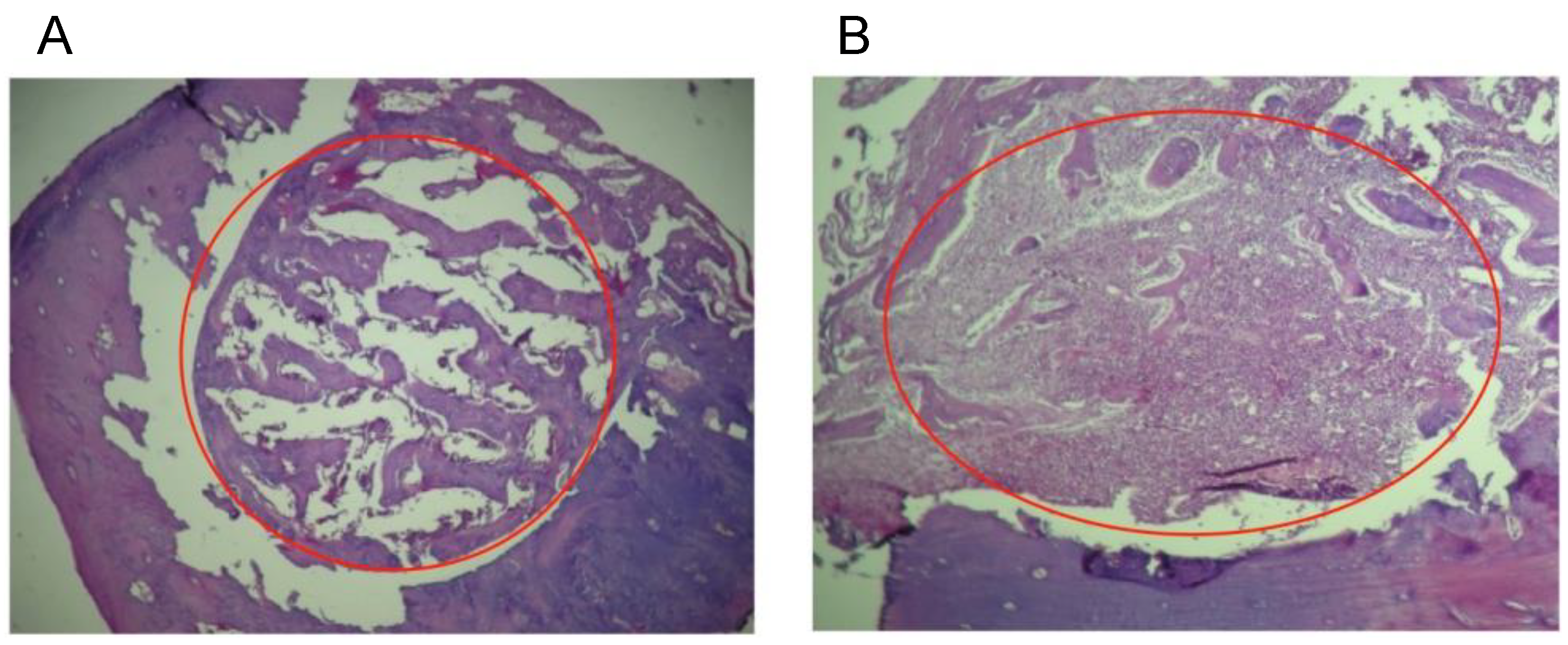 Nanomaterials 13 00321 g005