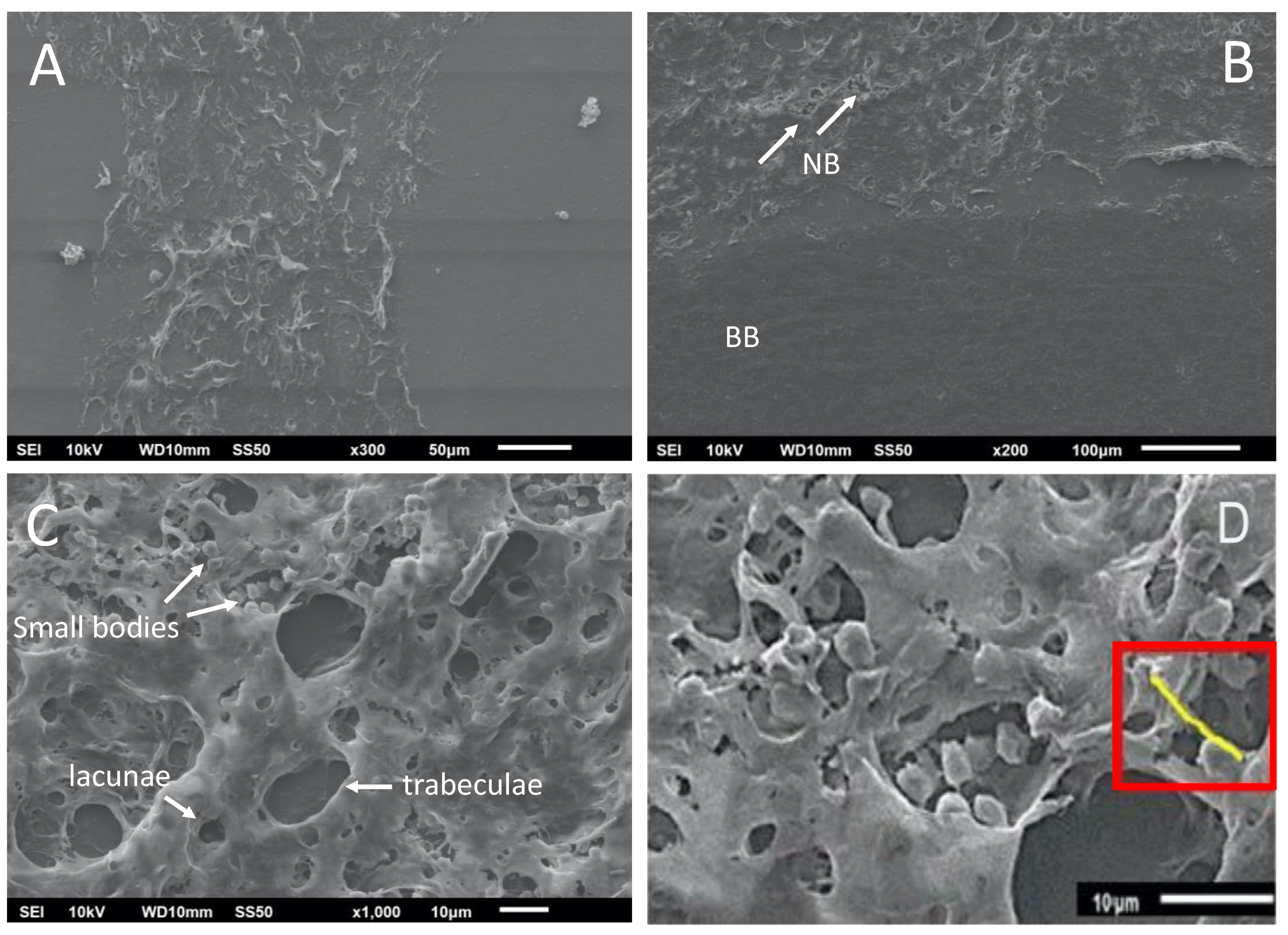 Nanomaterials 13 00321 g007