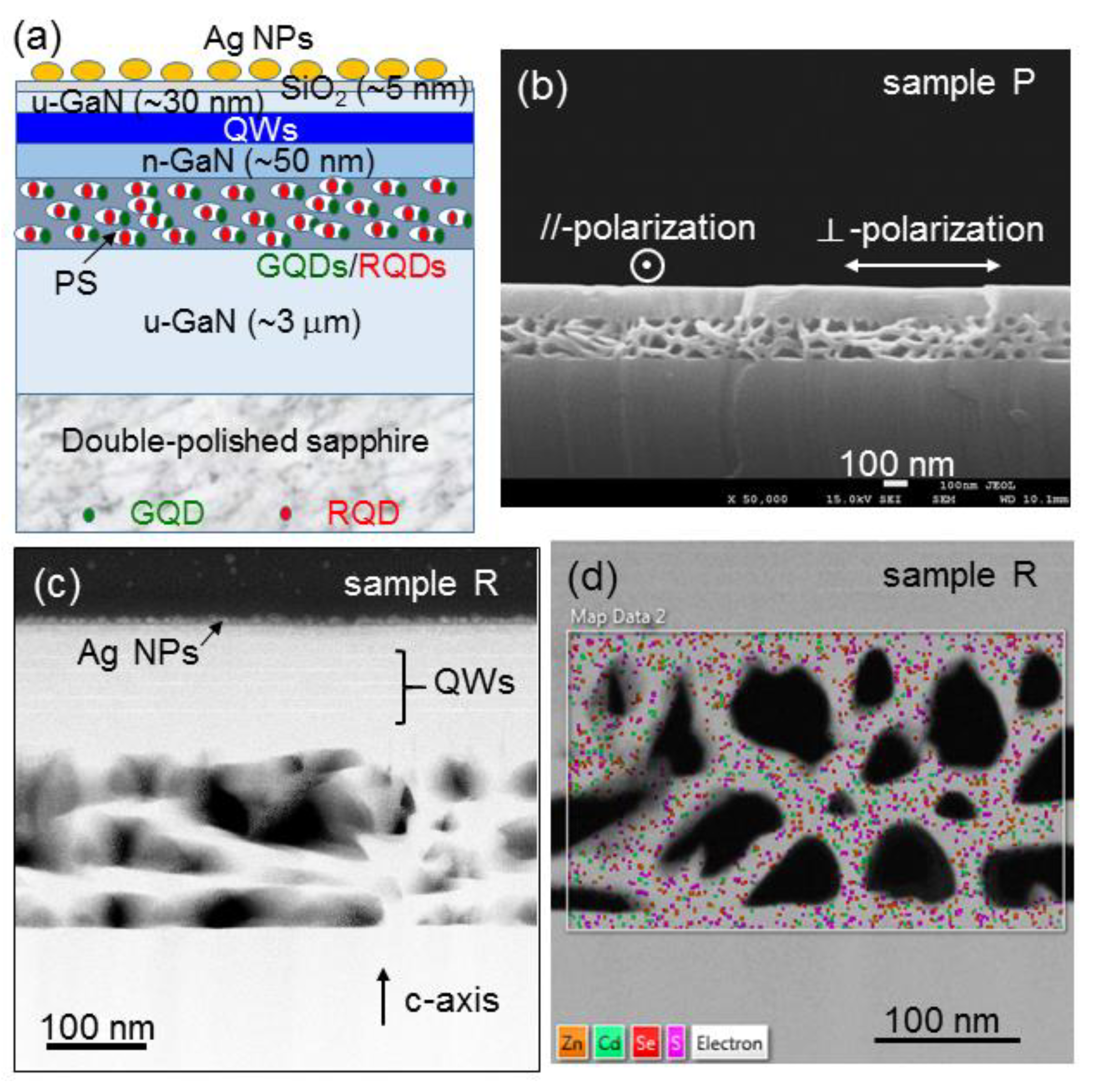 Nanomaterials 13 00328 g001