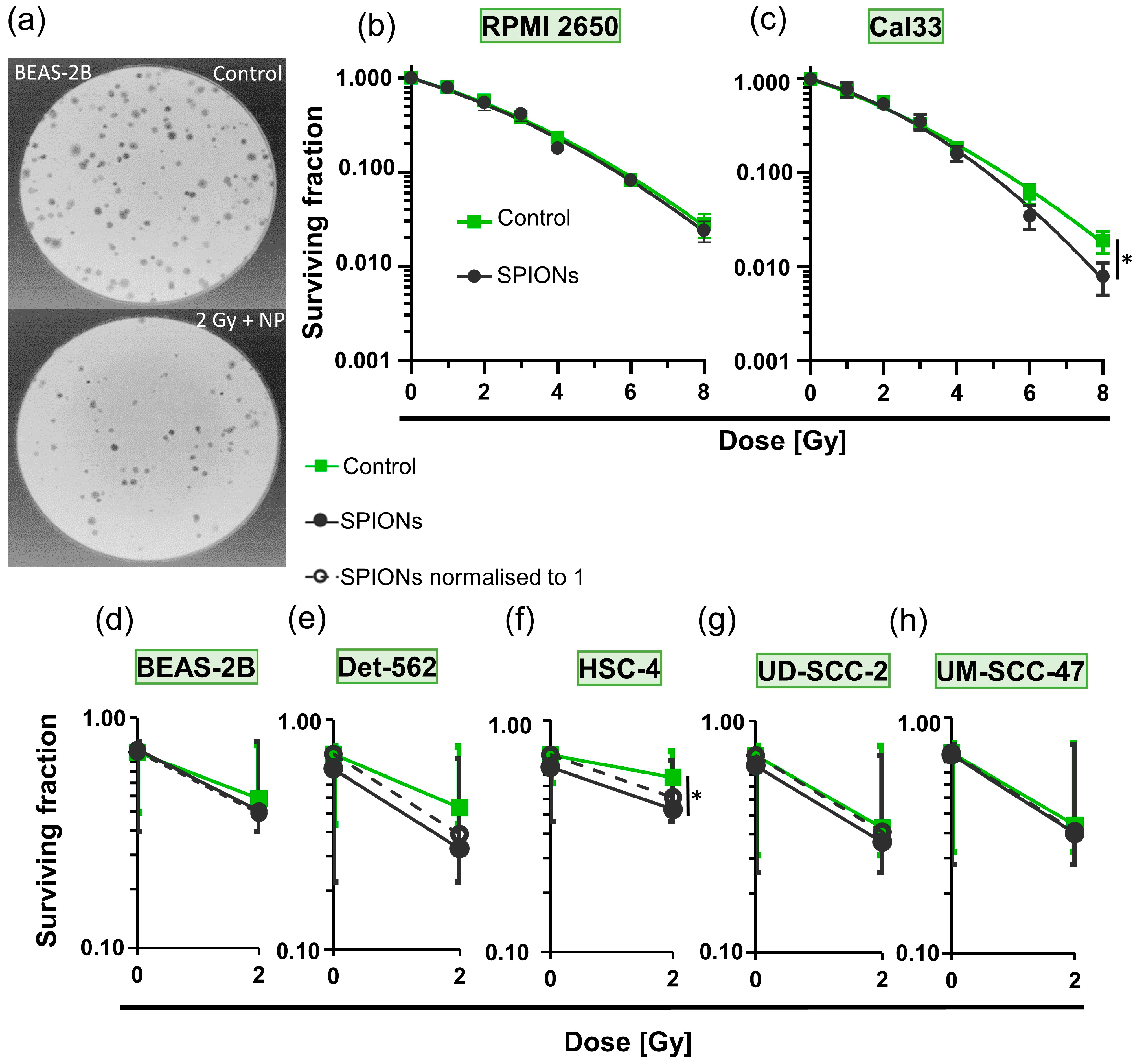 Nanomaterials 13 00330 g005 Nanomaterials 13 00330 g005
