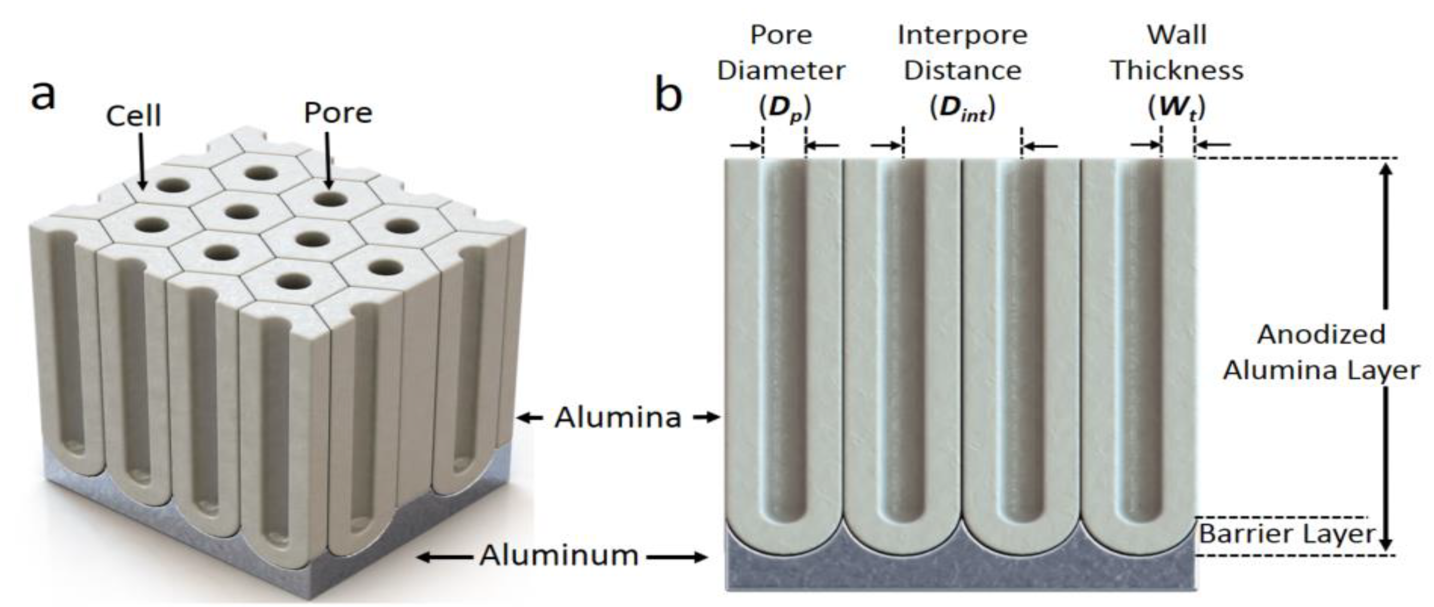 Nanomaterials 13 00342 g001 Nanomaterials 13 00342 g001
