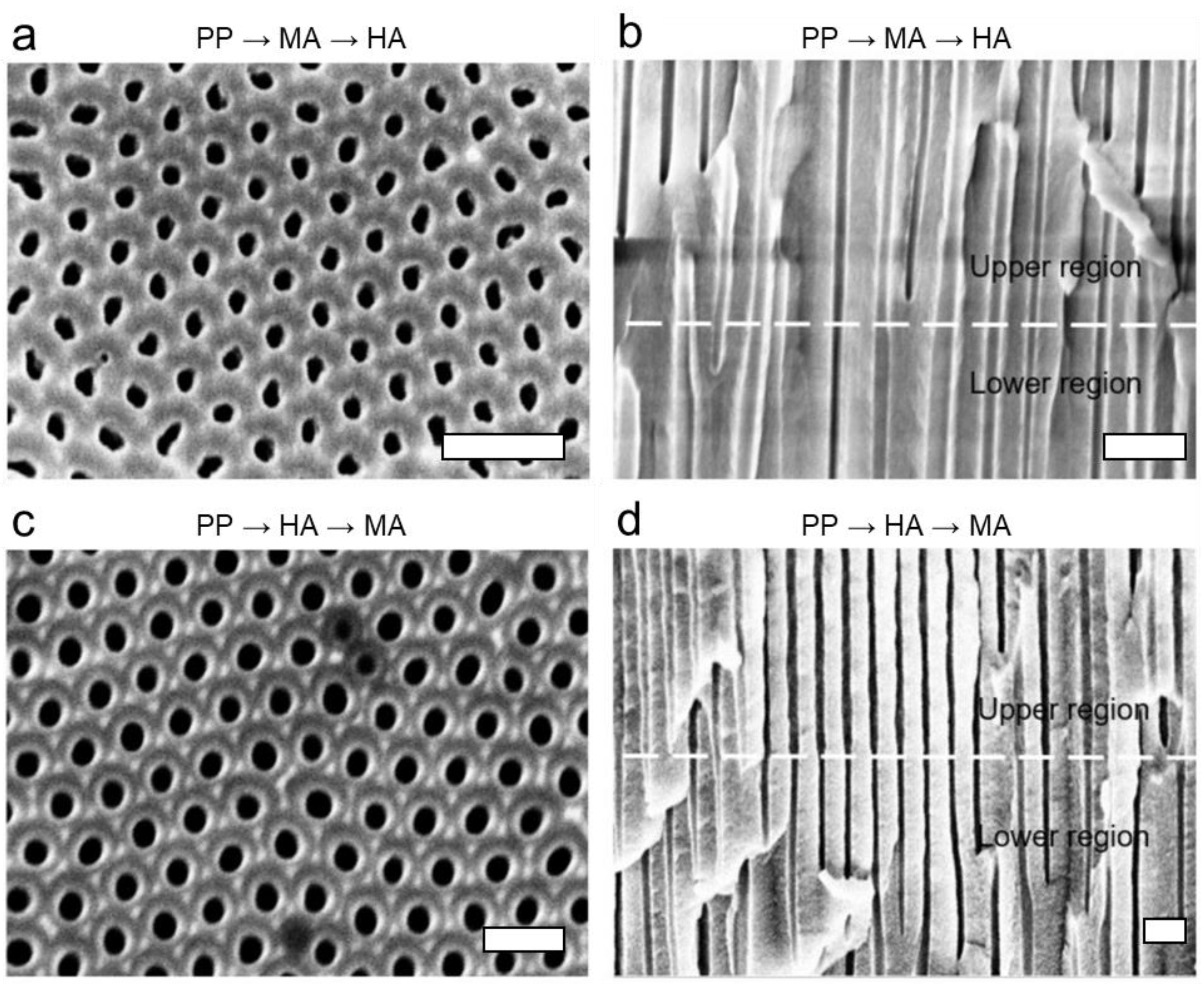 Nanomaterials 13 00342 g004 Nanomaterials 13 00342 g004