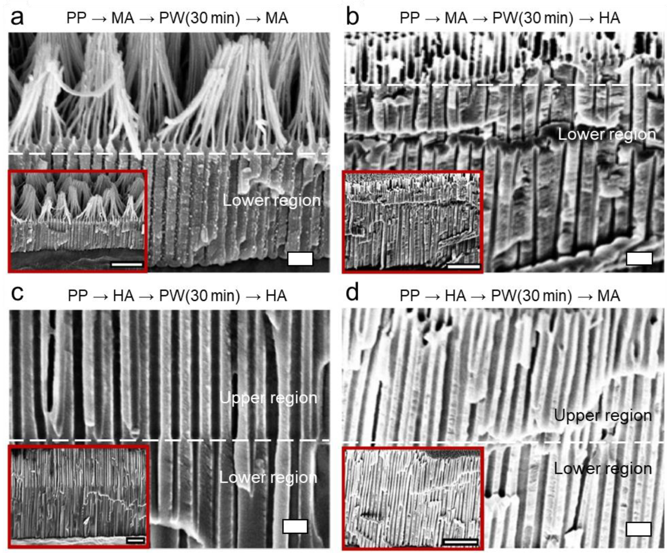 Nanomaterials 13 00342 g006 Nanomaterials 13 00342 g006