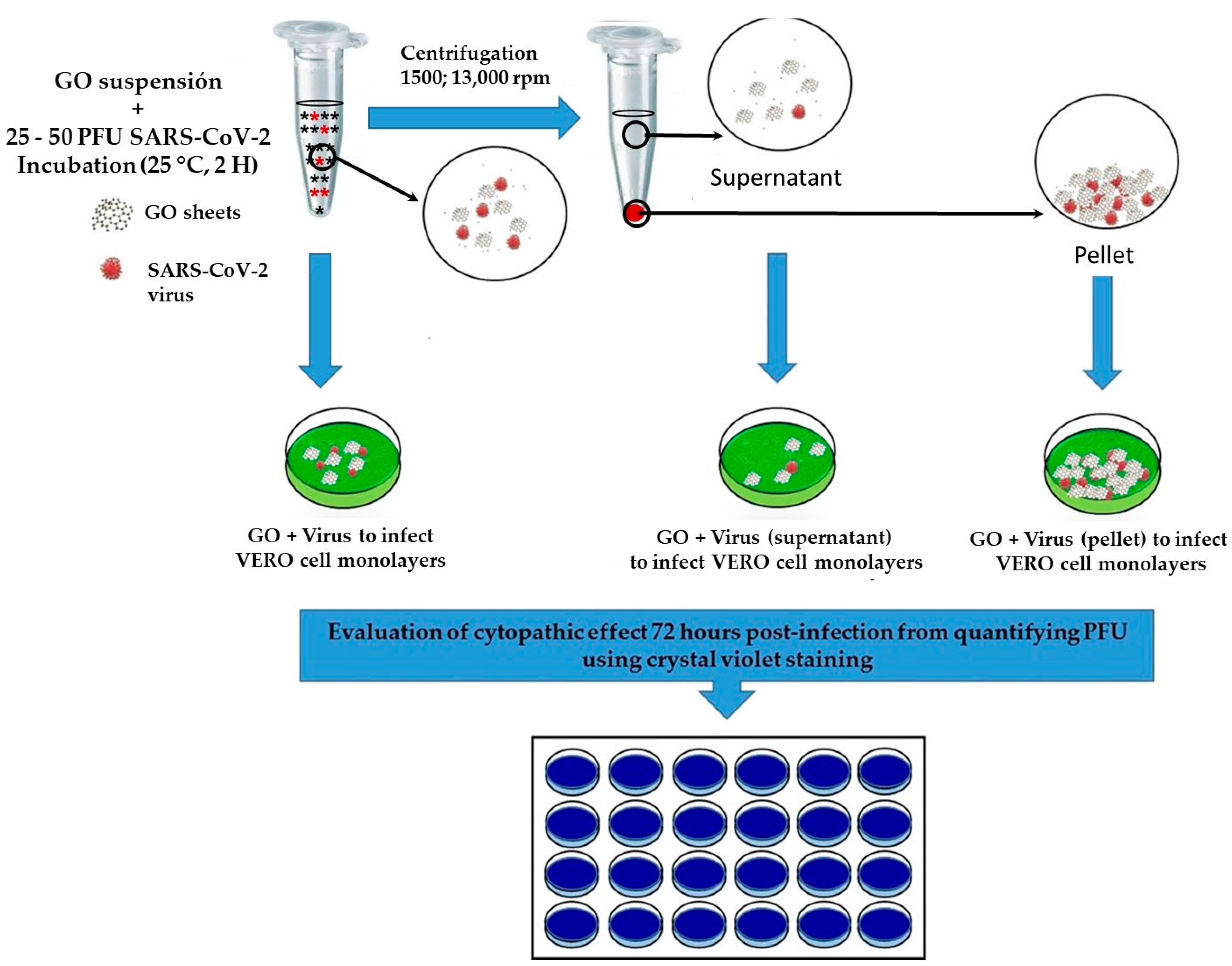 Nanomaterials 13 00343 g001 Nanomaterials 13 00343 g001